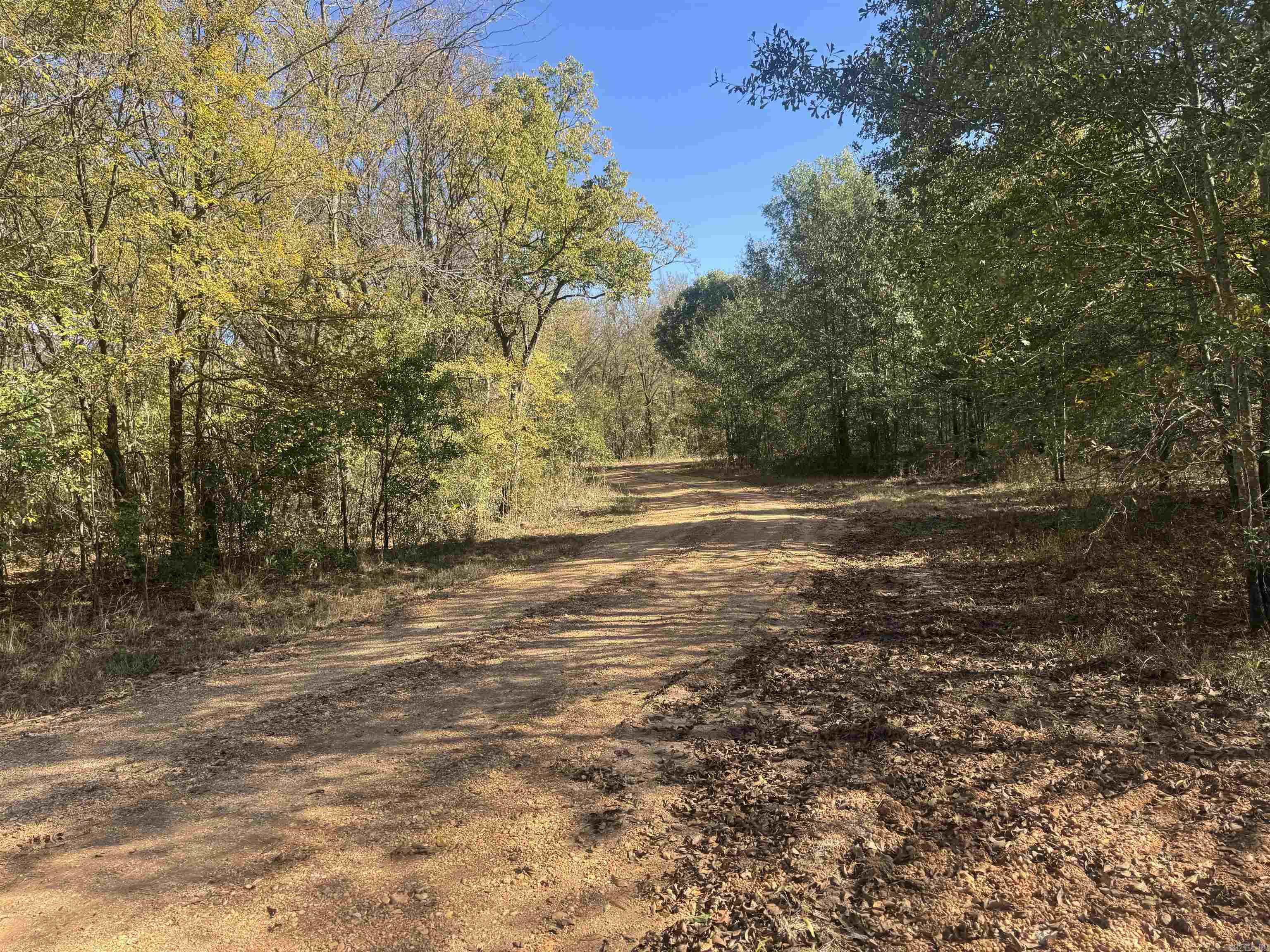 000 Alex Brown Rd Property Photo 23