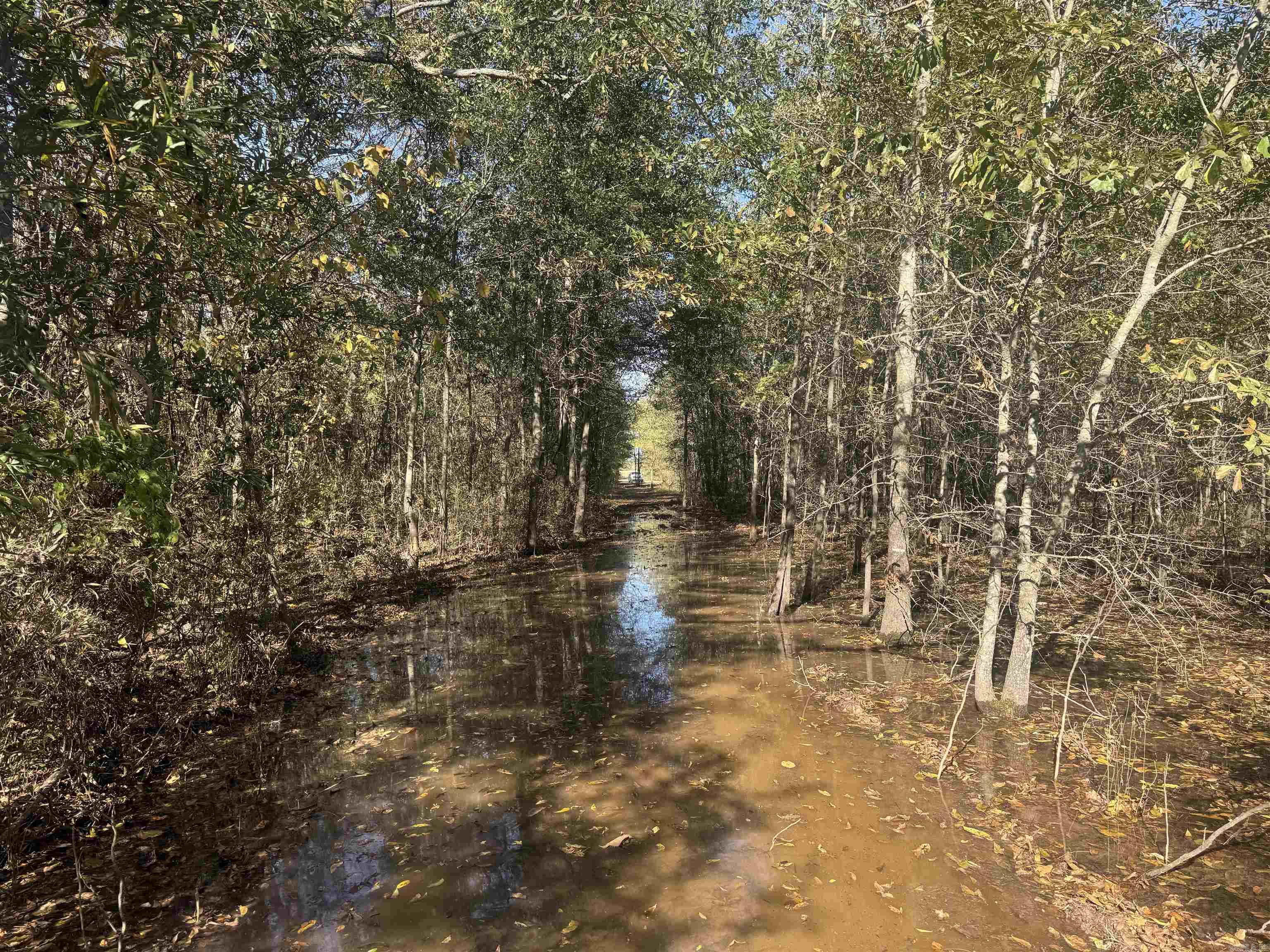 000 Alex Brown Rd Property Photo 24