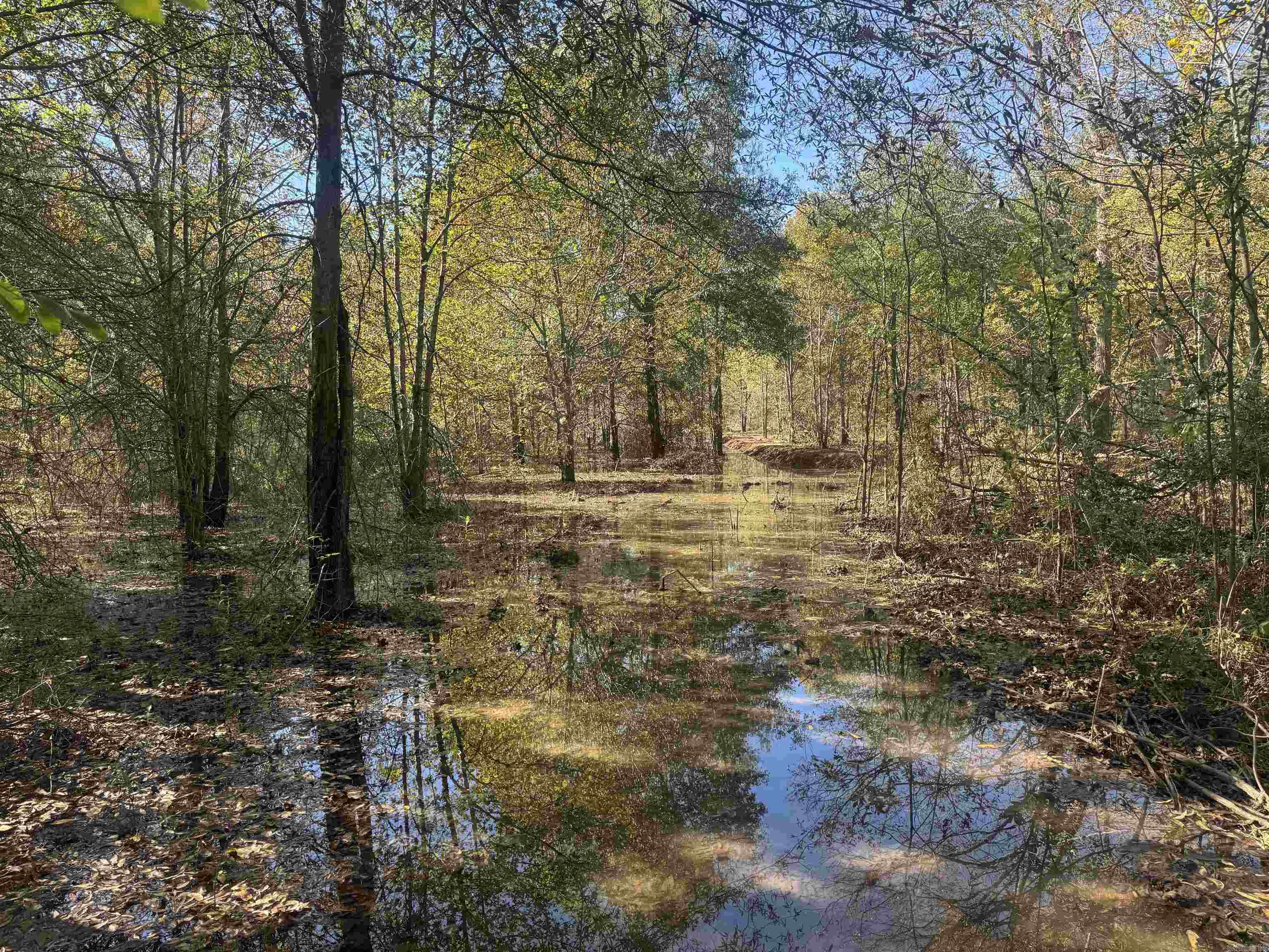 000 Alex Brown Rd Property Photo 25