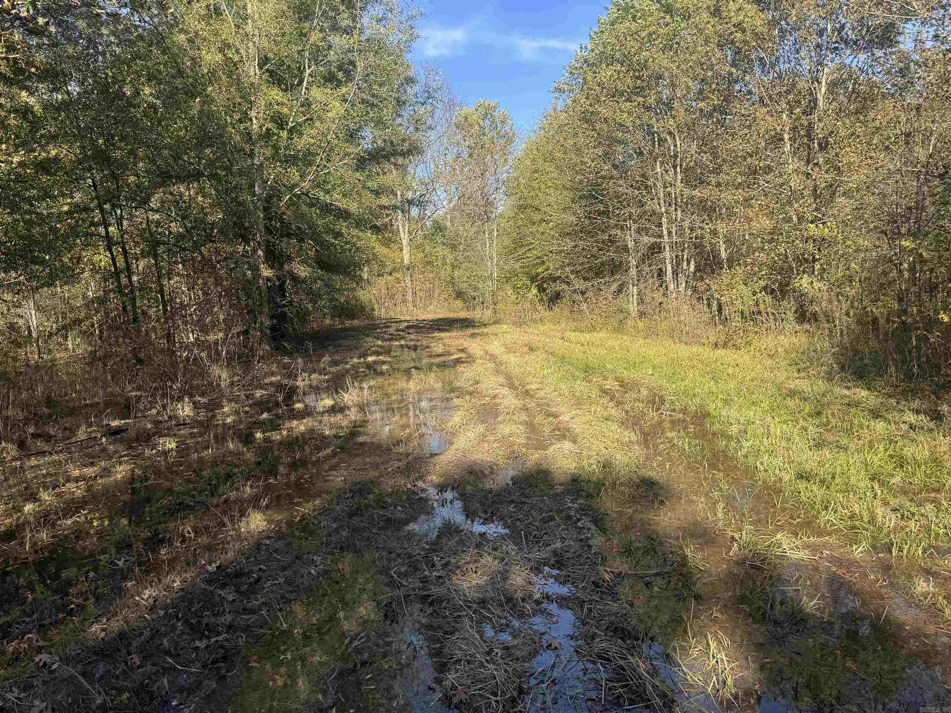 000 Alex Brown Rd Property Photo 26