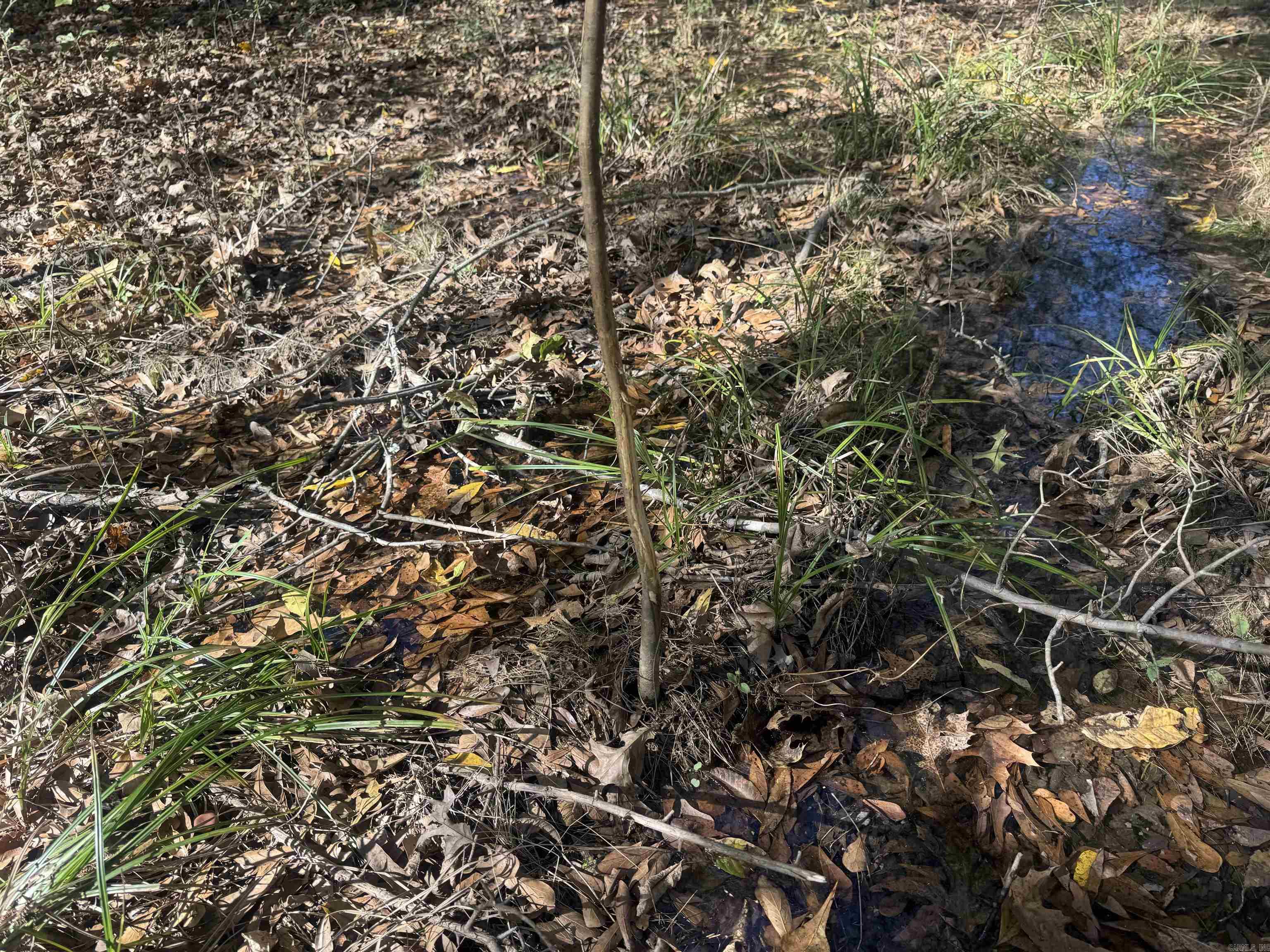 000 Alex Brown Rd Property Photo 27