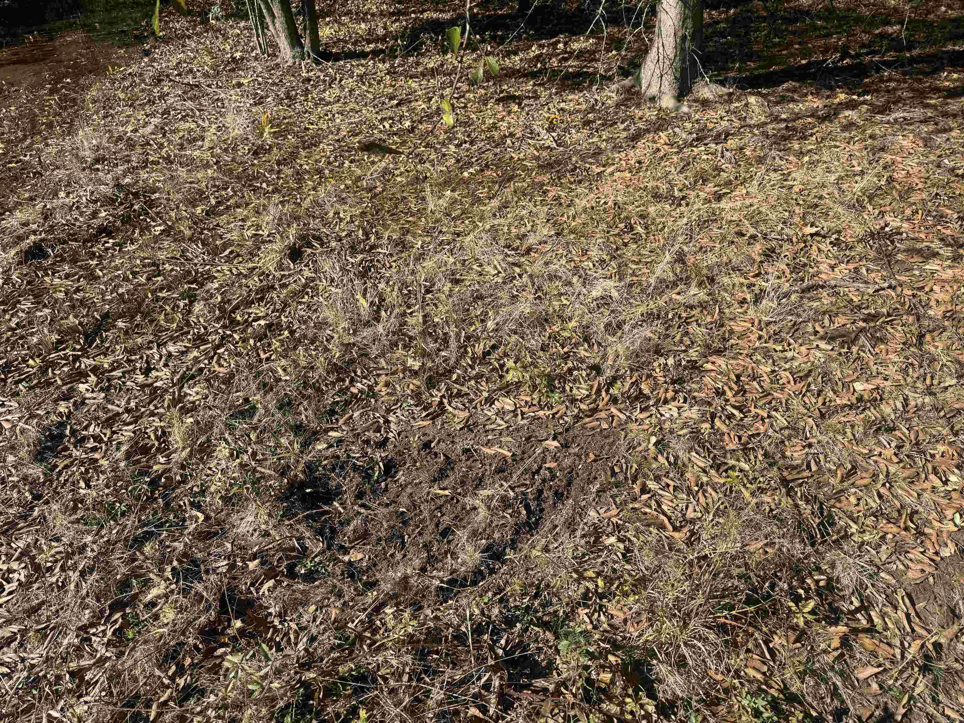 000 Alex Brown Rd Property Photo 29