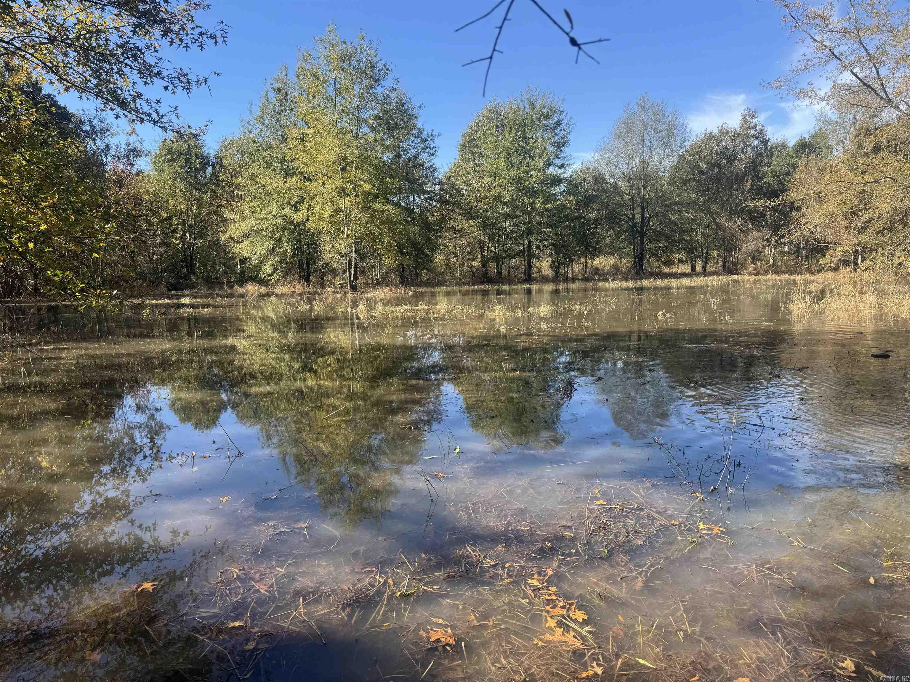 000 Alex Brown Rd Property Photo 31