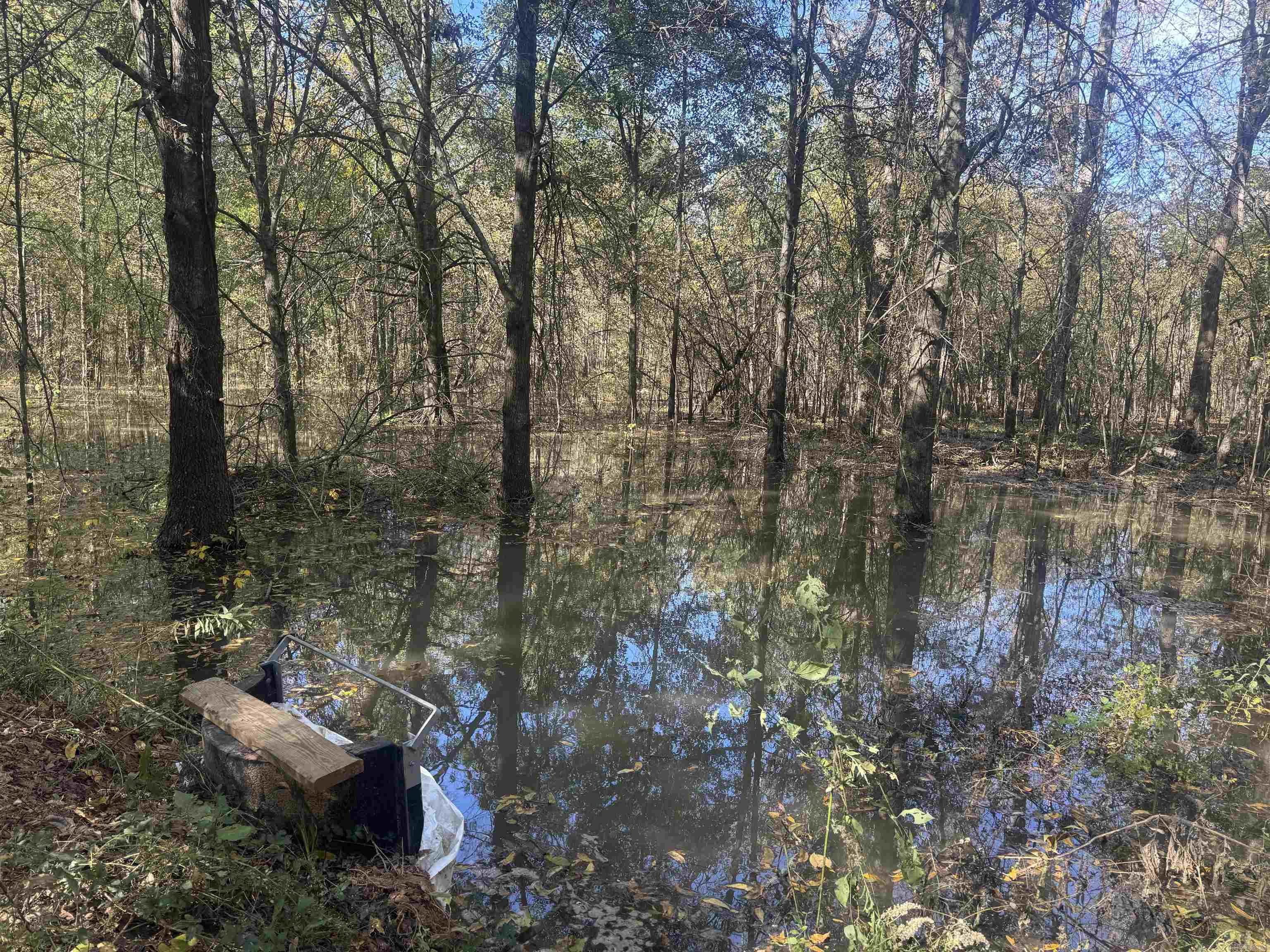 000 Alex Brown Rd Property Photo 35