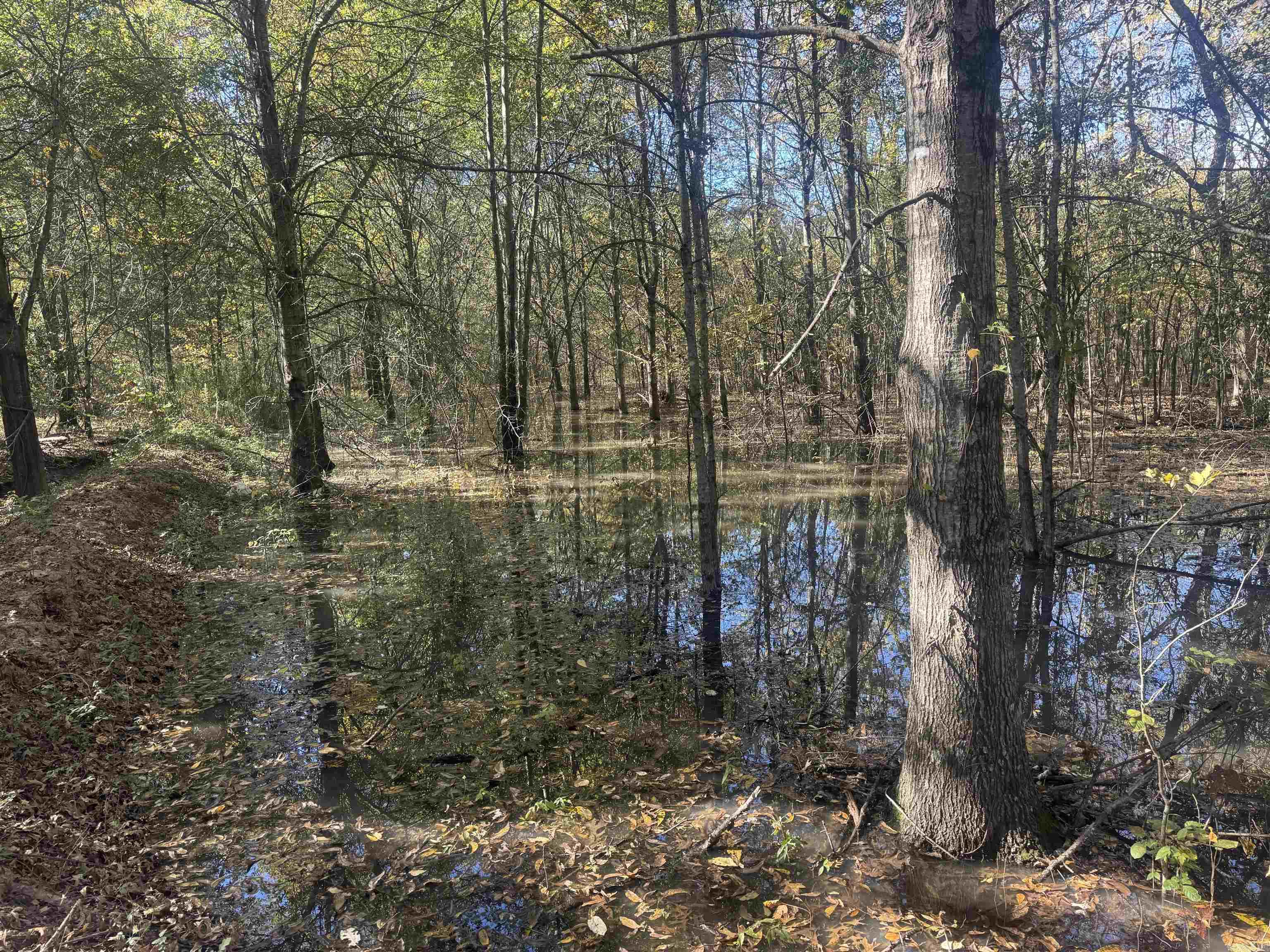 000 Alex Brown Rd Property Photo 36