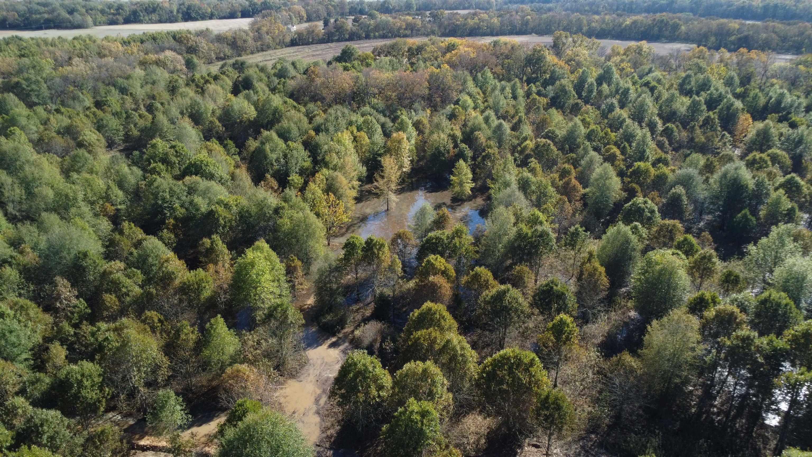 000 Alex Brown Rd Property Photo 39