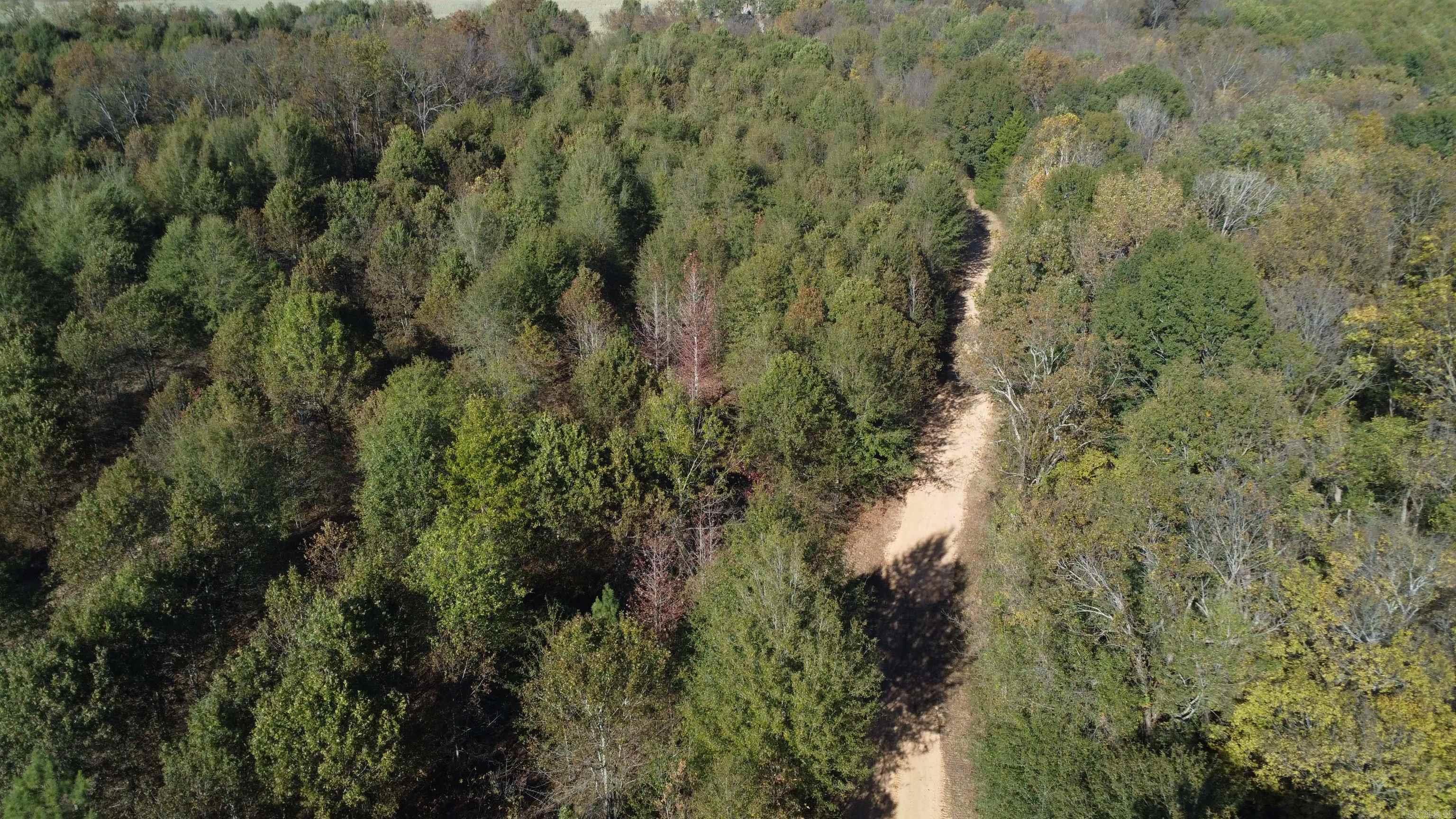 000 Alex Brown Rd Property Photo 44