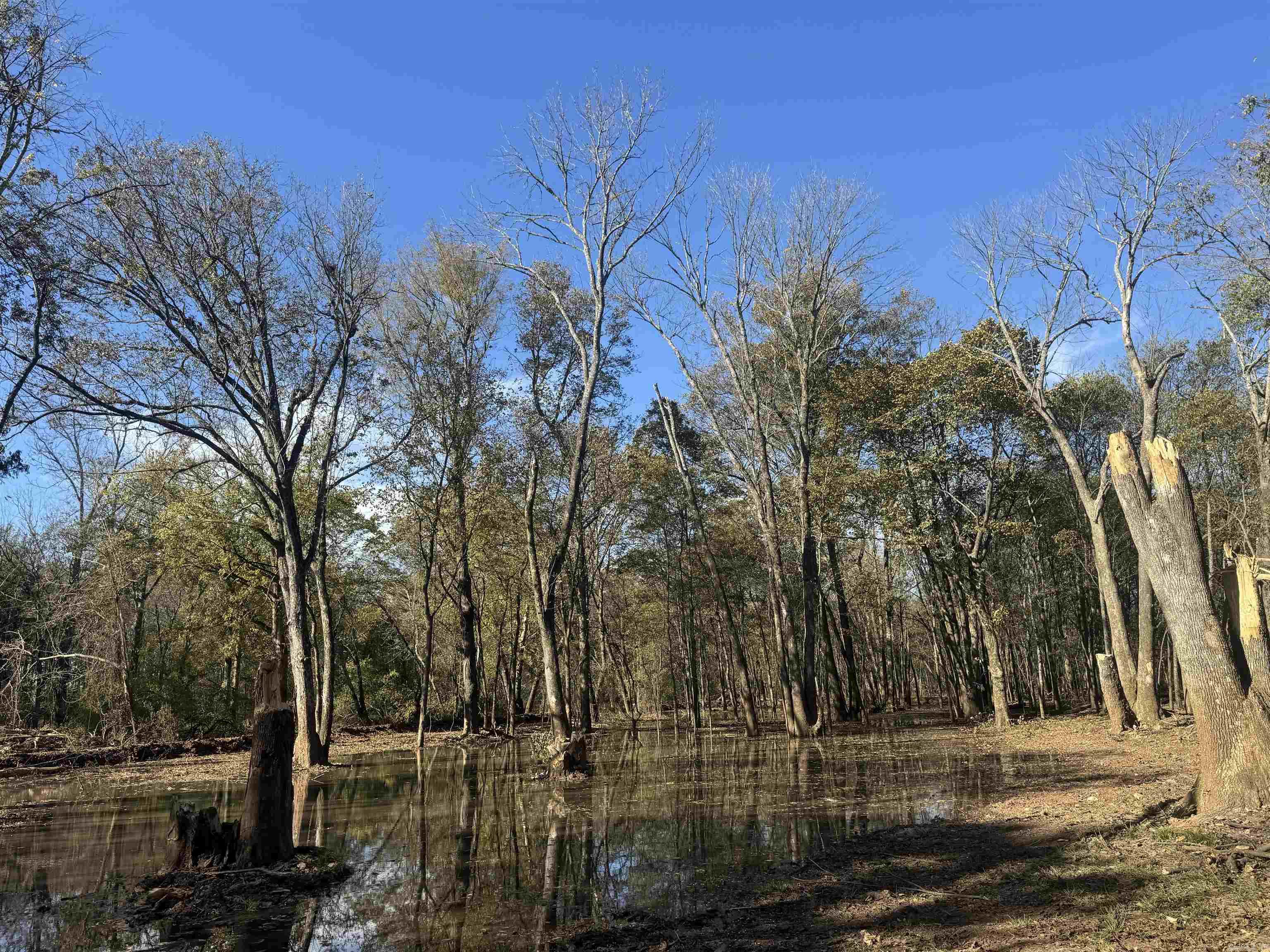 000 Alex Brown Rd Property Photo 46