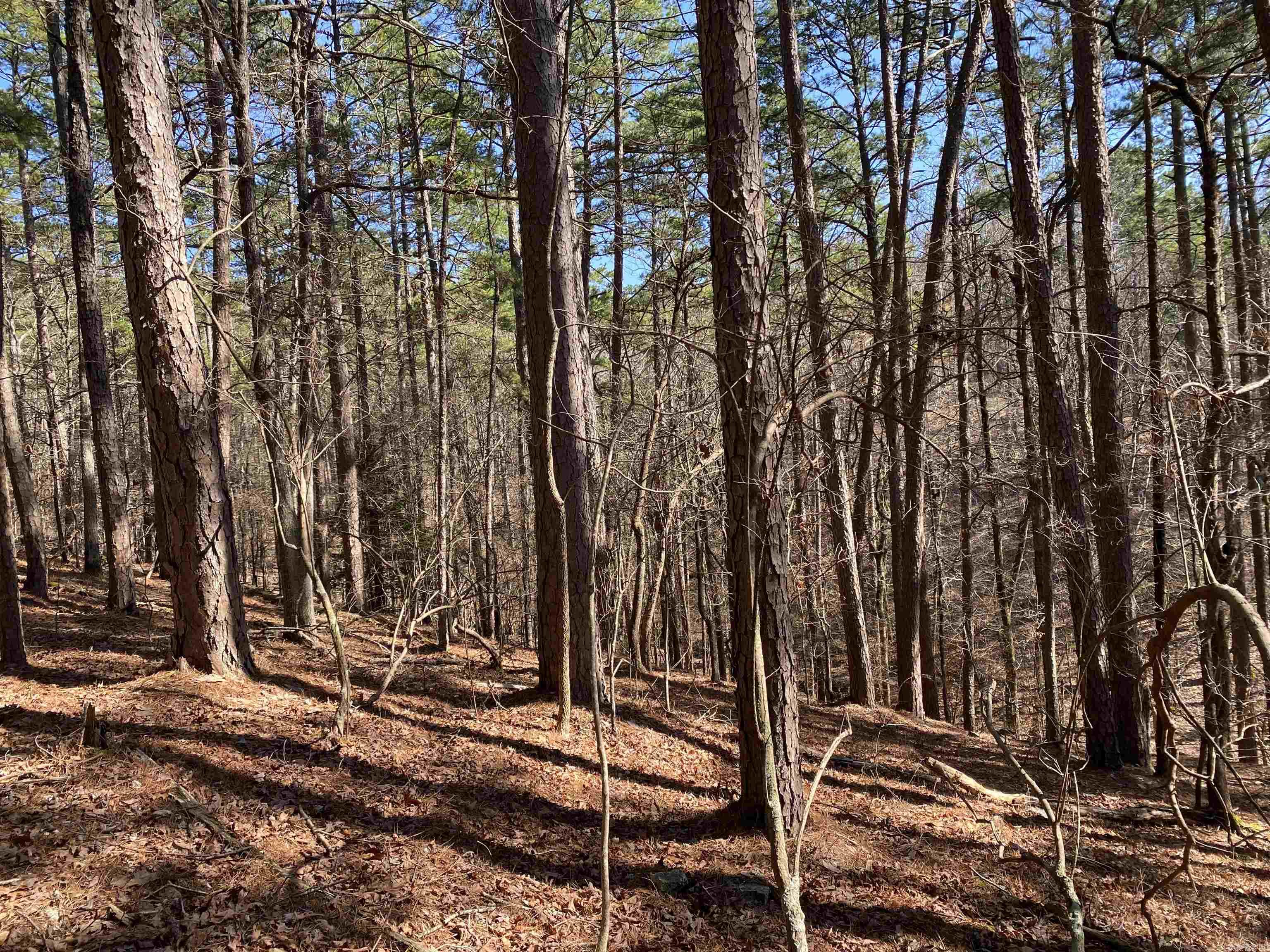 16 Hillside Trail Property Photo 1