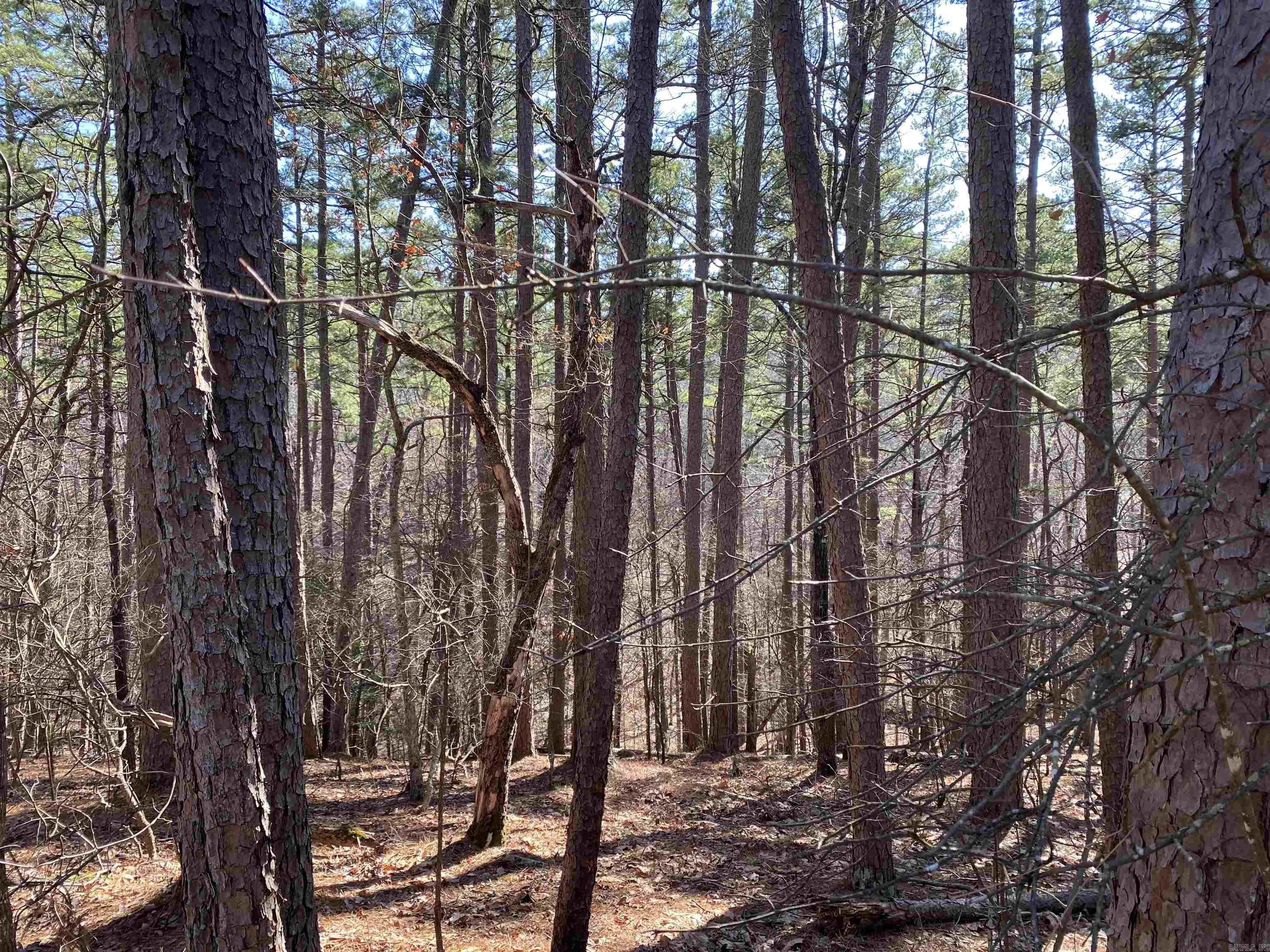 16 Hillside Trail Property Photo 2