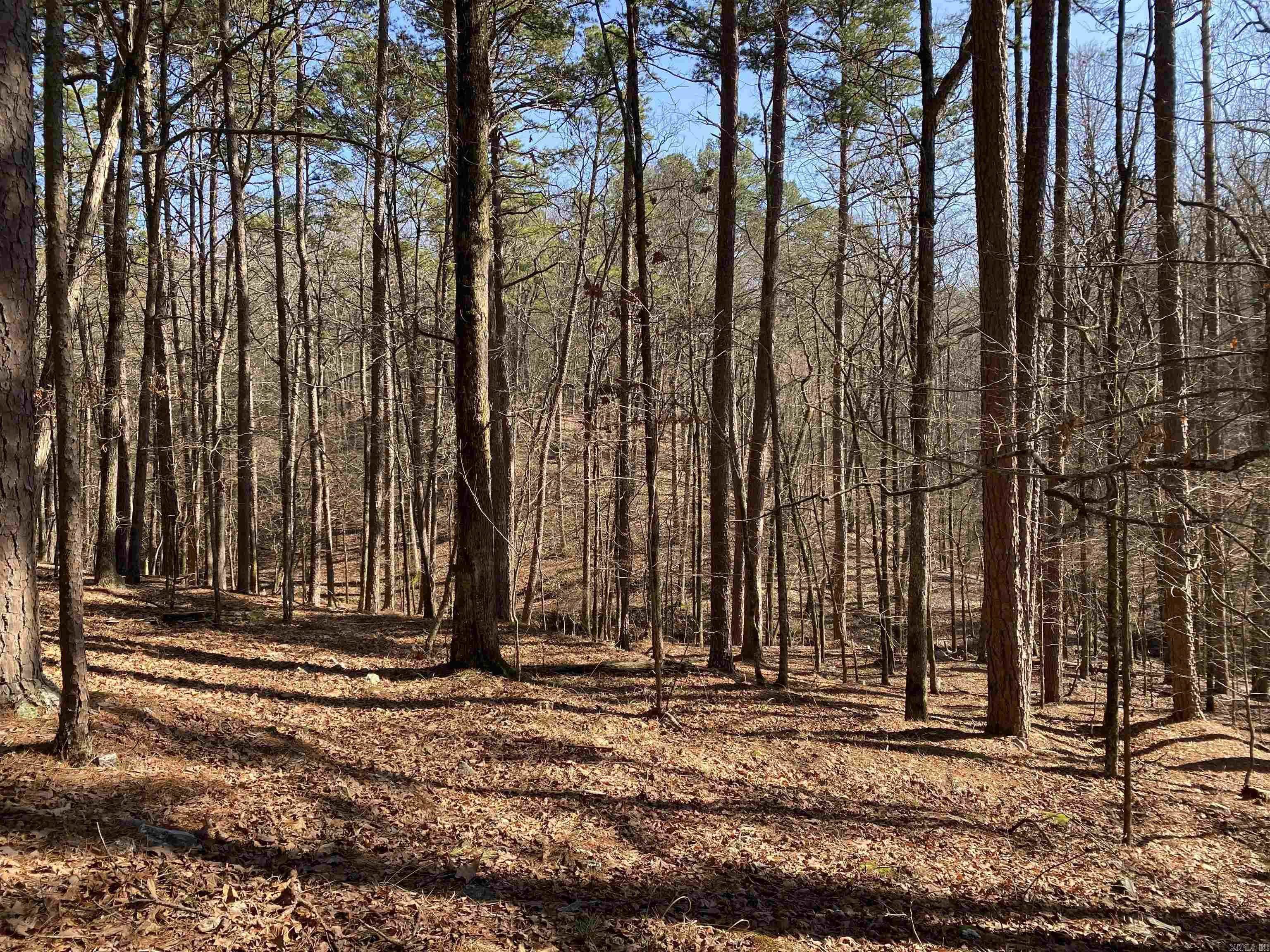 16 Hillside Trail Property Photo 4