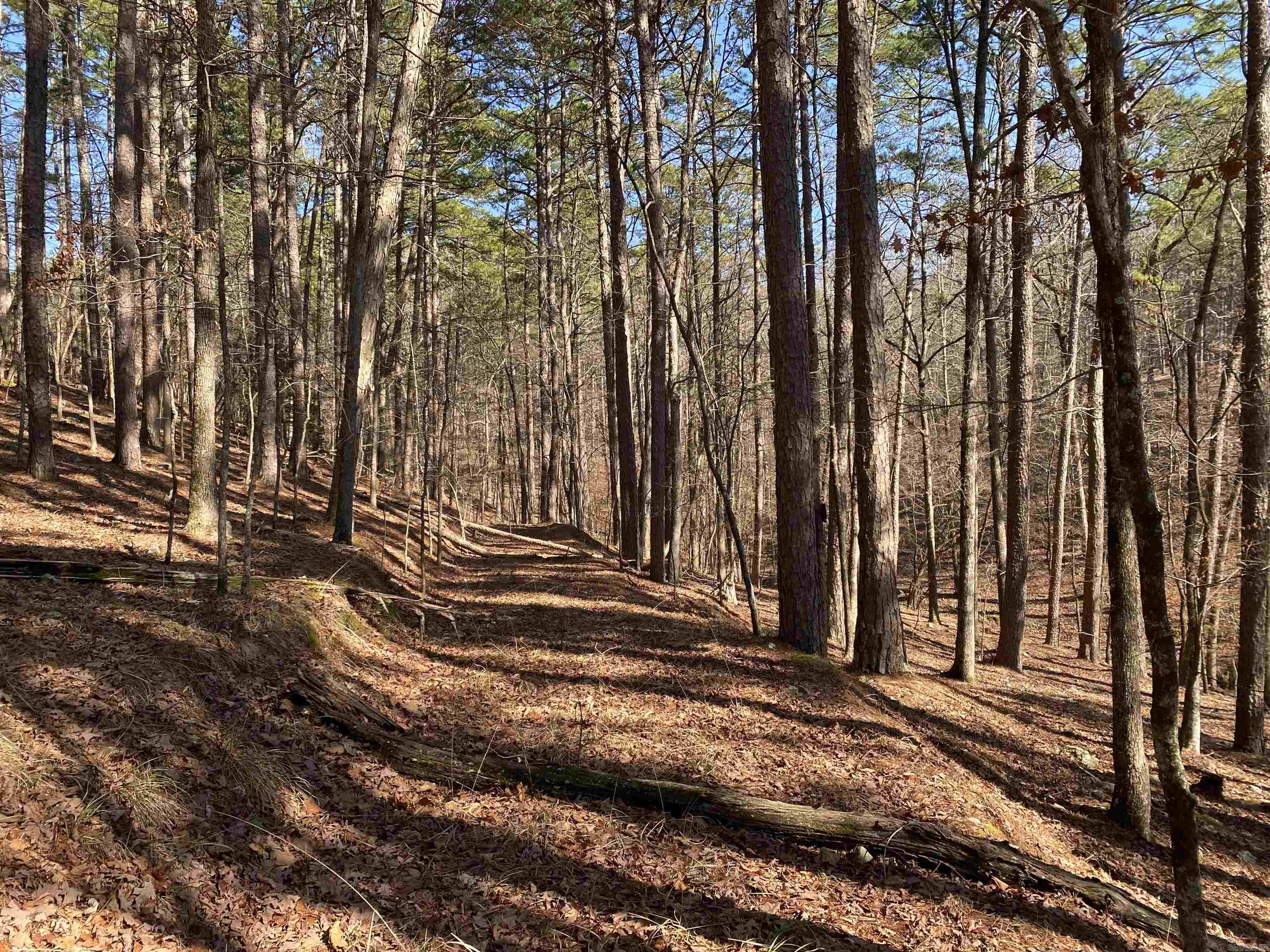 16 Hillside Trail Property Photo 5