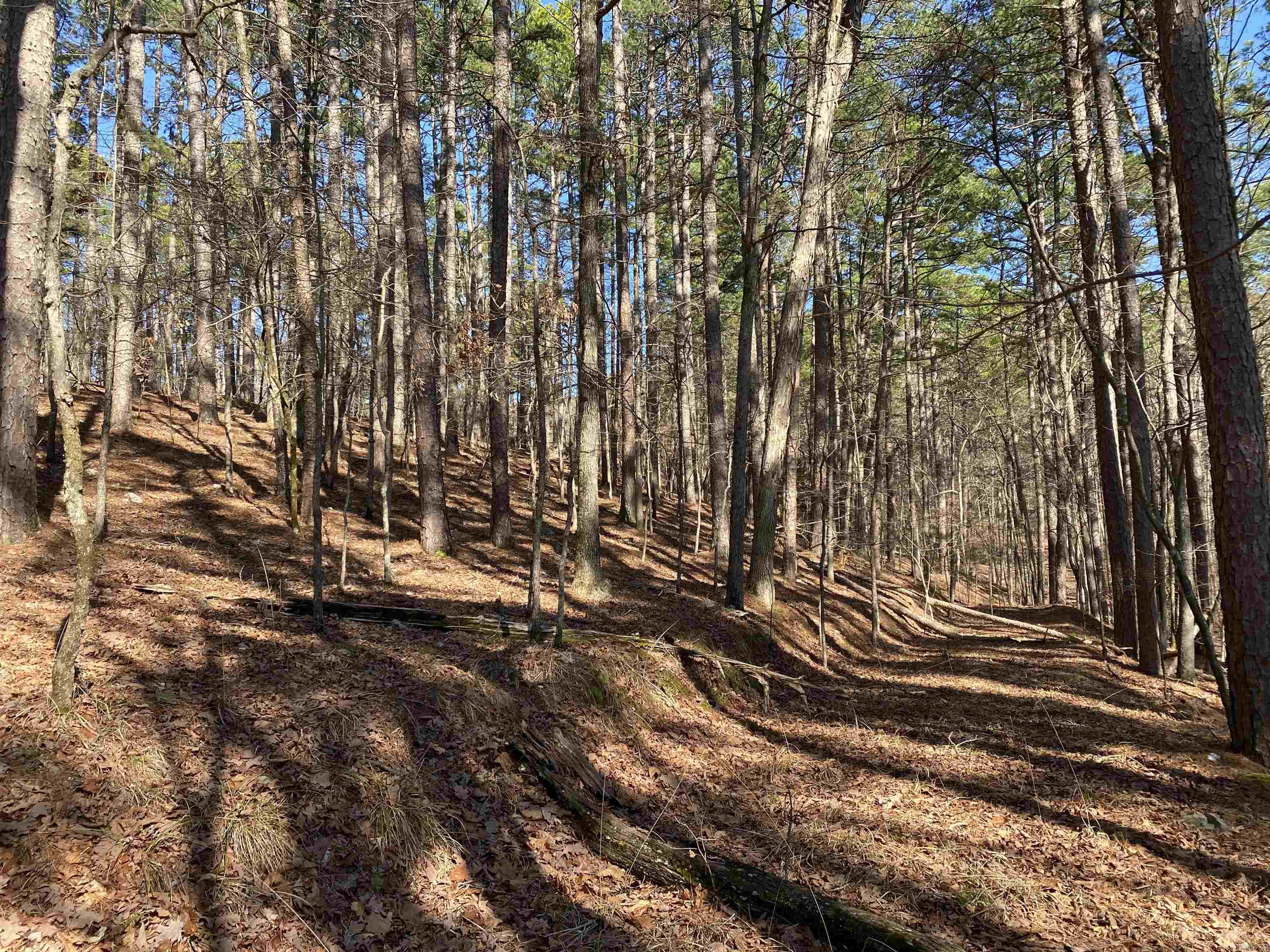 16 Hillside Trail Property Photo 6