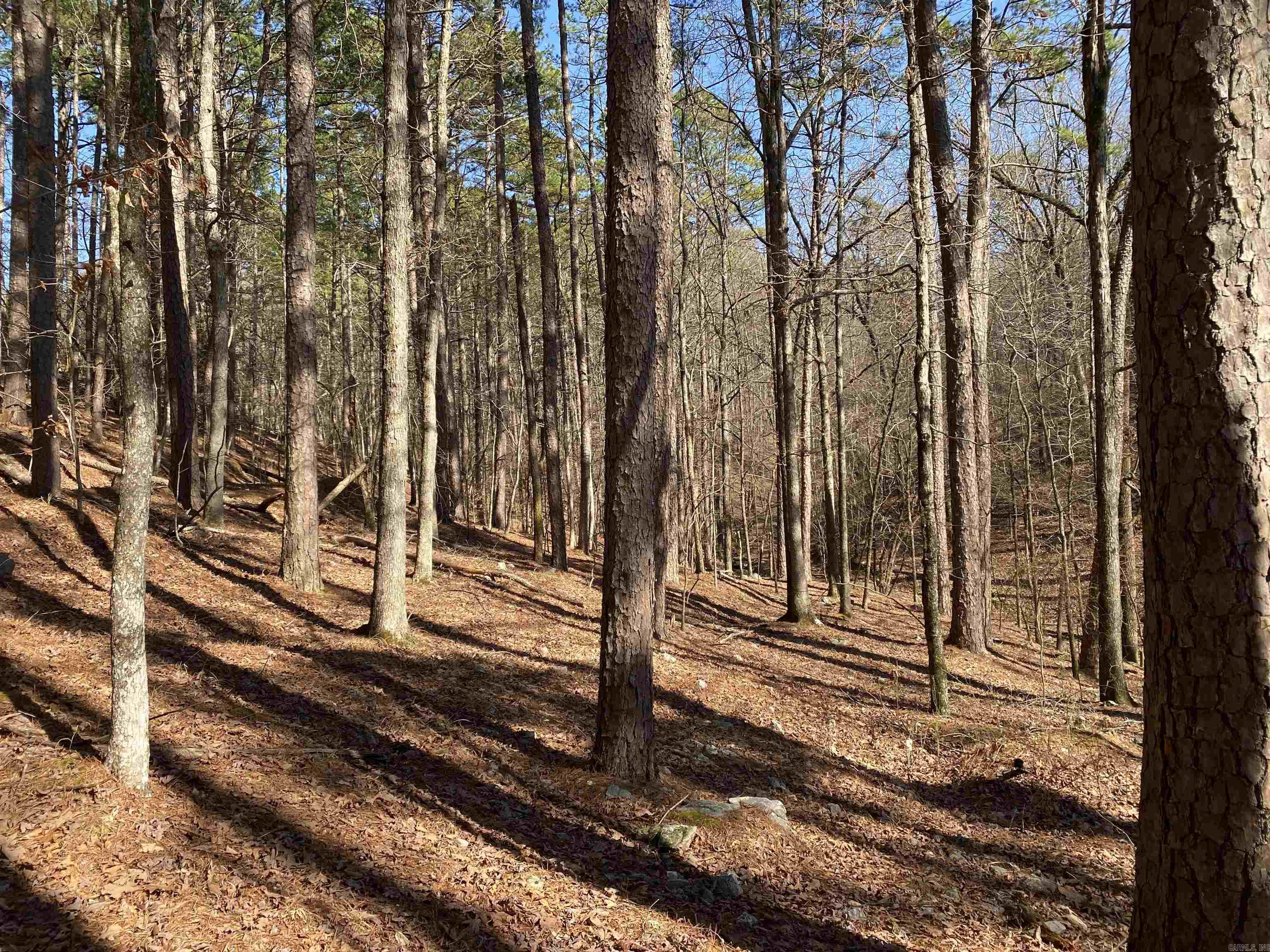 16 Hillside Trail Property Photo 7