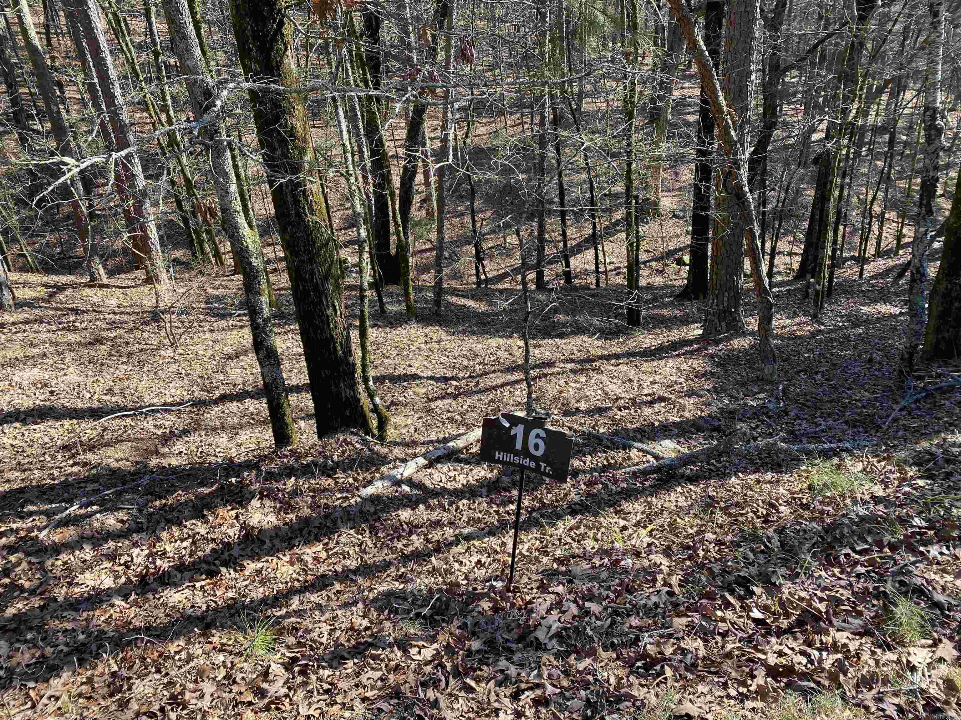 16 Hillside Trail Property Photo 8