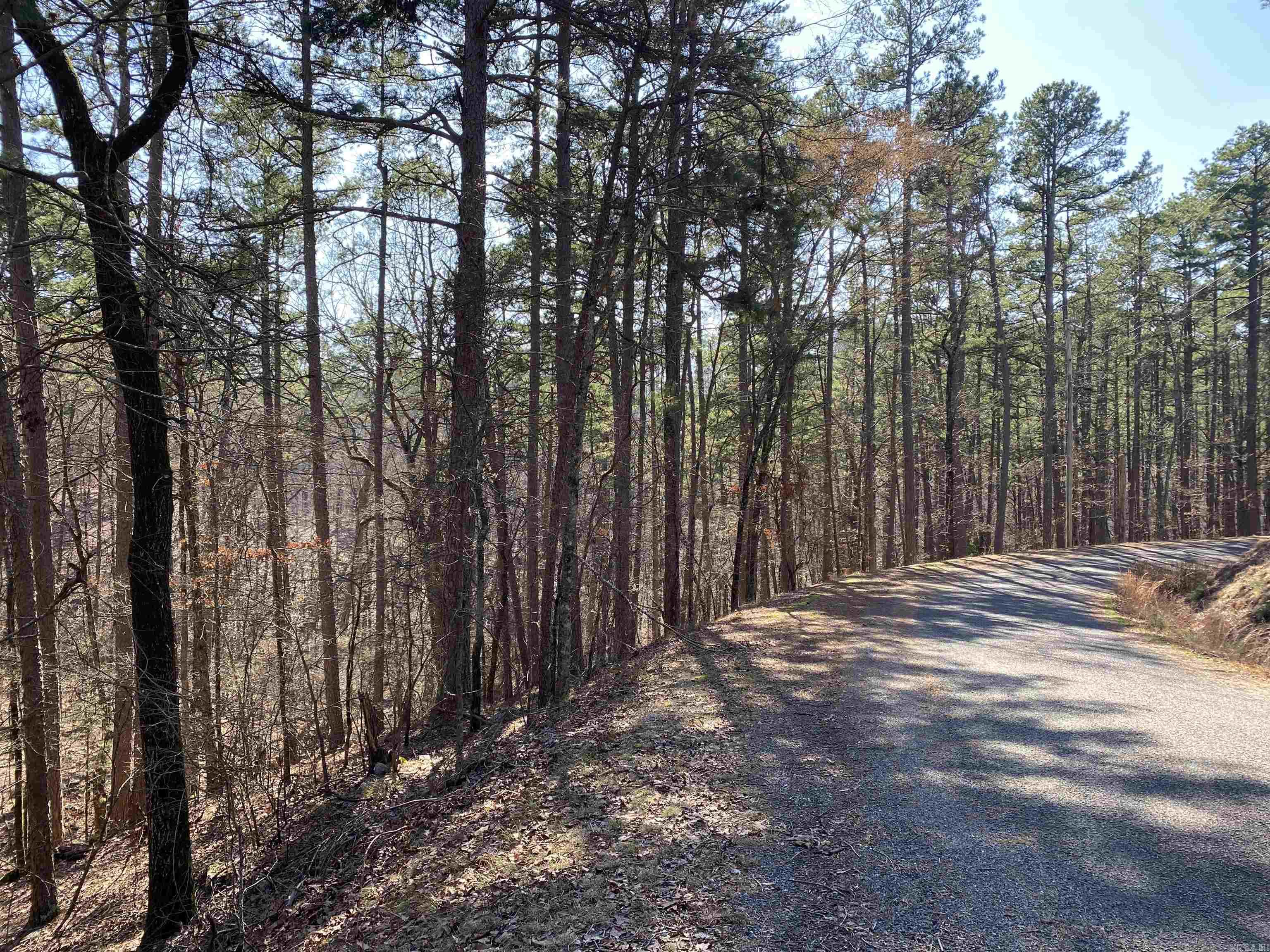 16 Hillside Trail Property Photo 9