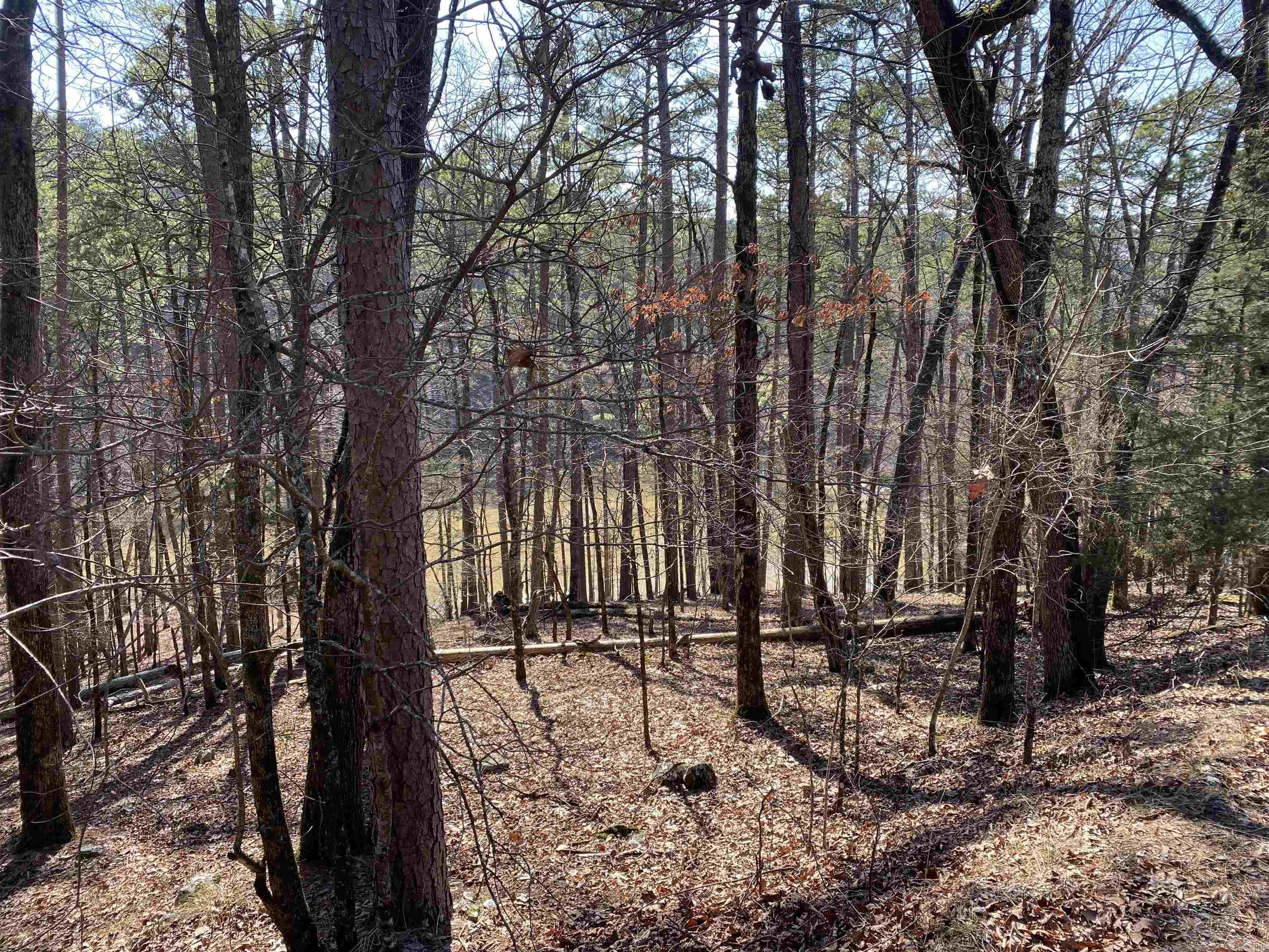 17 Southridge Drive Property Photo 2