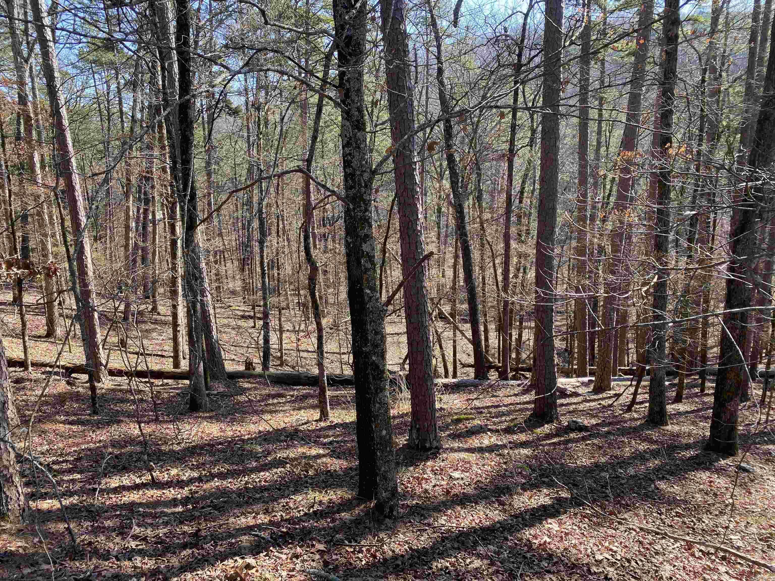 17 Southridge Drive Property Photo 3