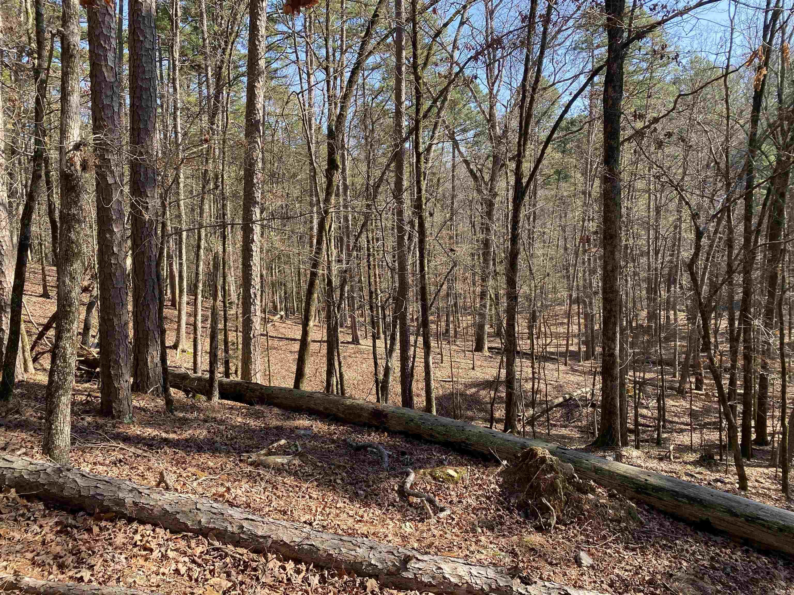 17 Southridge Drive Property Photo 9