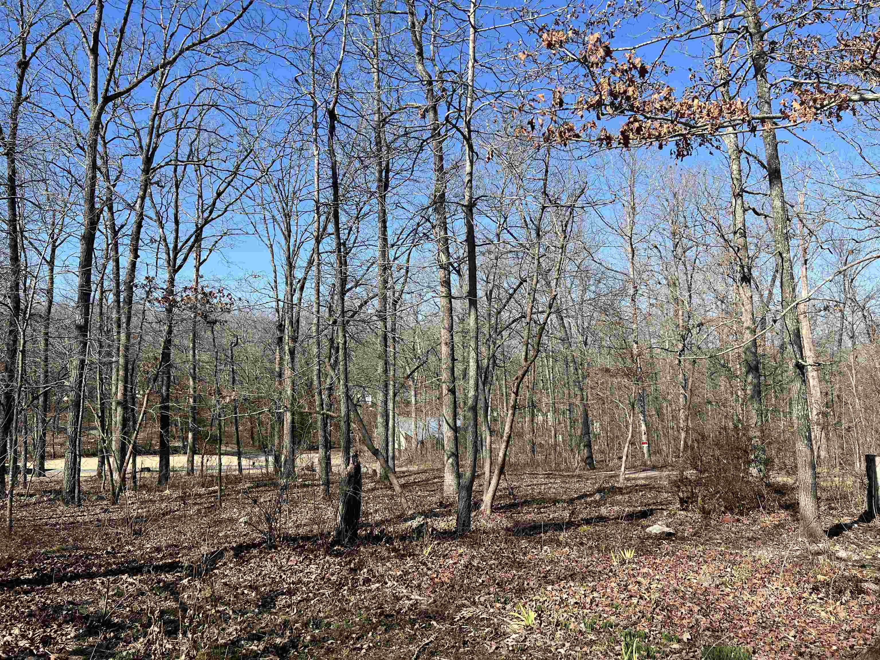 146 Vagabond Rd Property Photo 40