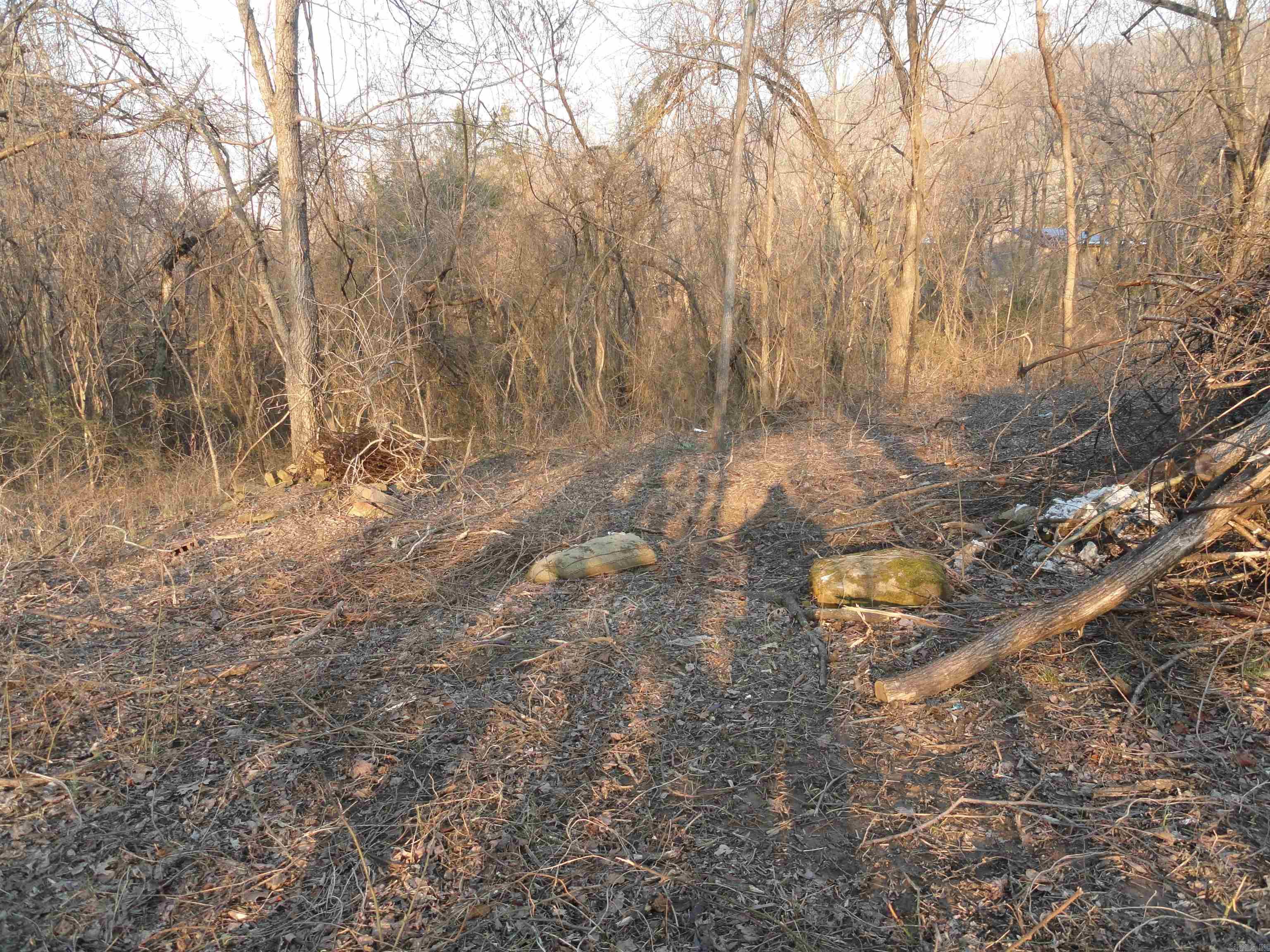 705 E Main Street Property Photo 7
