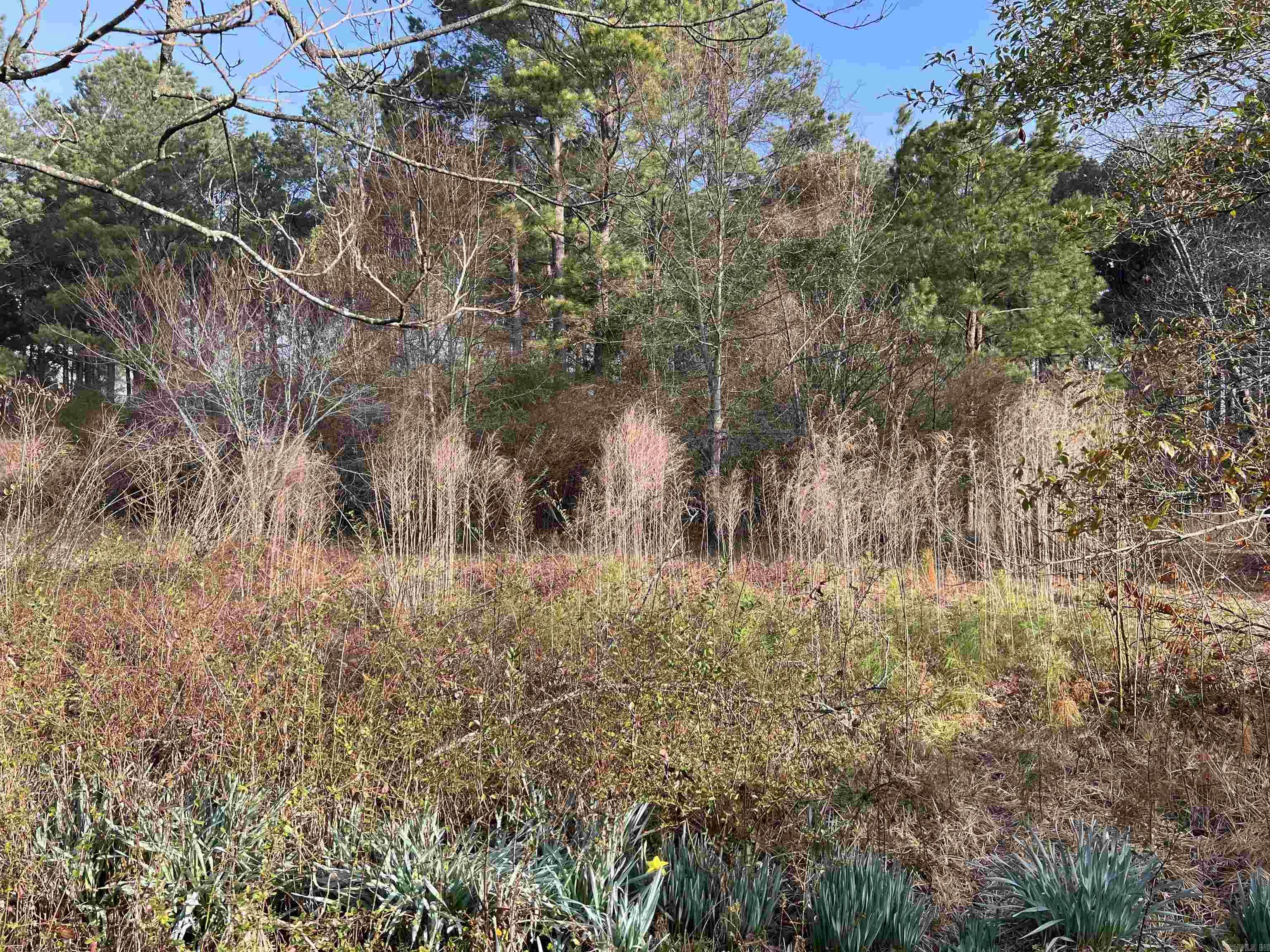 000 W University Street Property Photo 13
