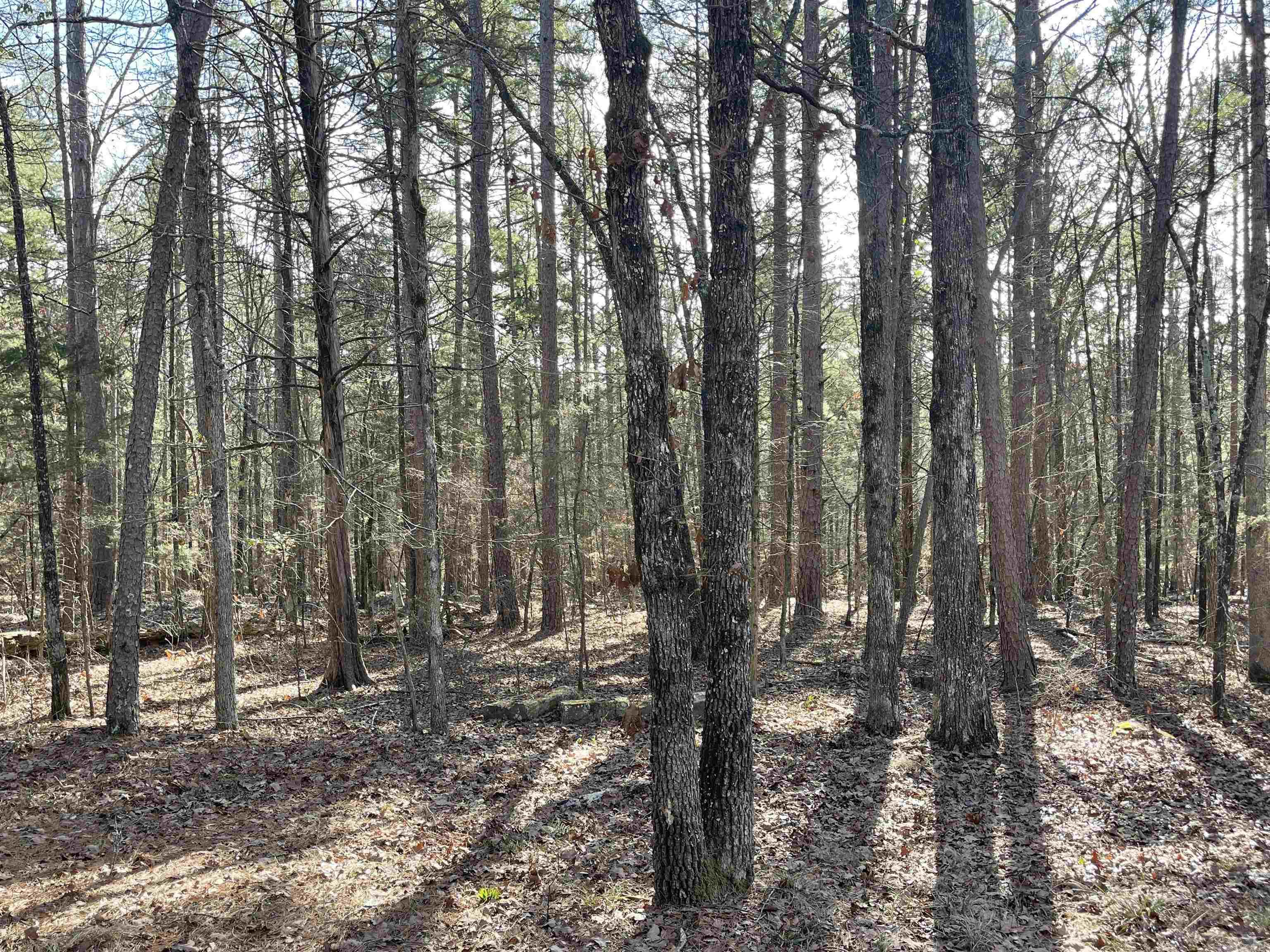 Lot 487 Hersfeld Rd. Property Photo 8