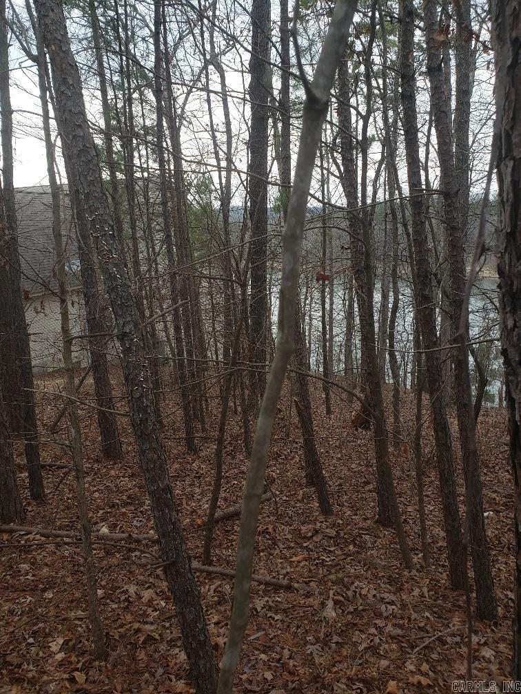 33 Waterfront Ct Property Photo 11