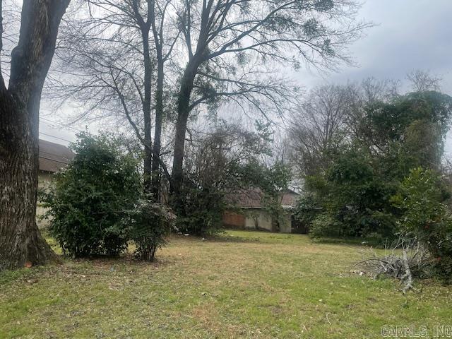 915 Pecan Street Property Photo 2
