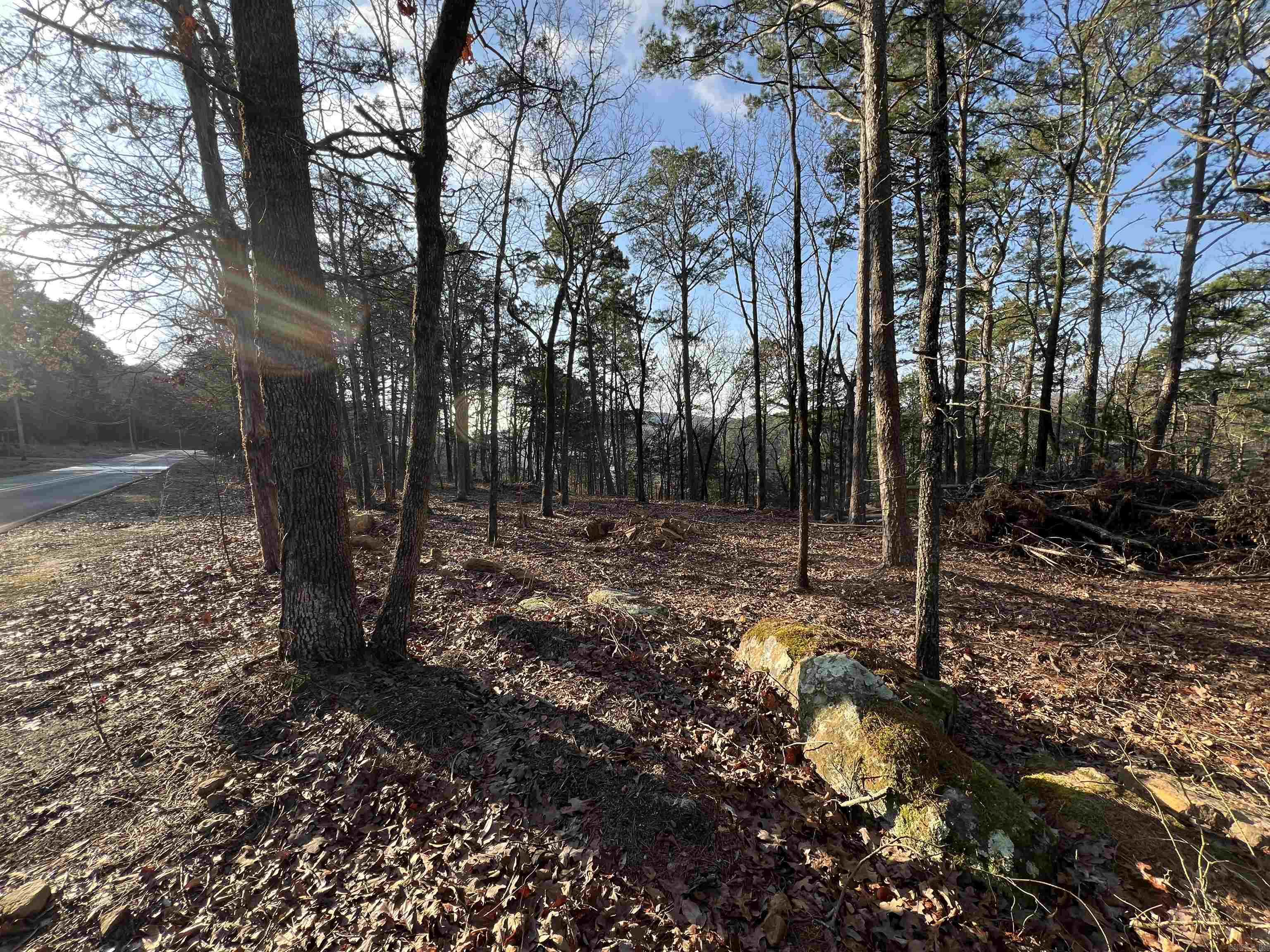128 Lynn Creek Drive Property Photo 8
