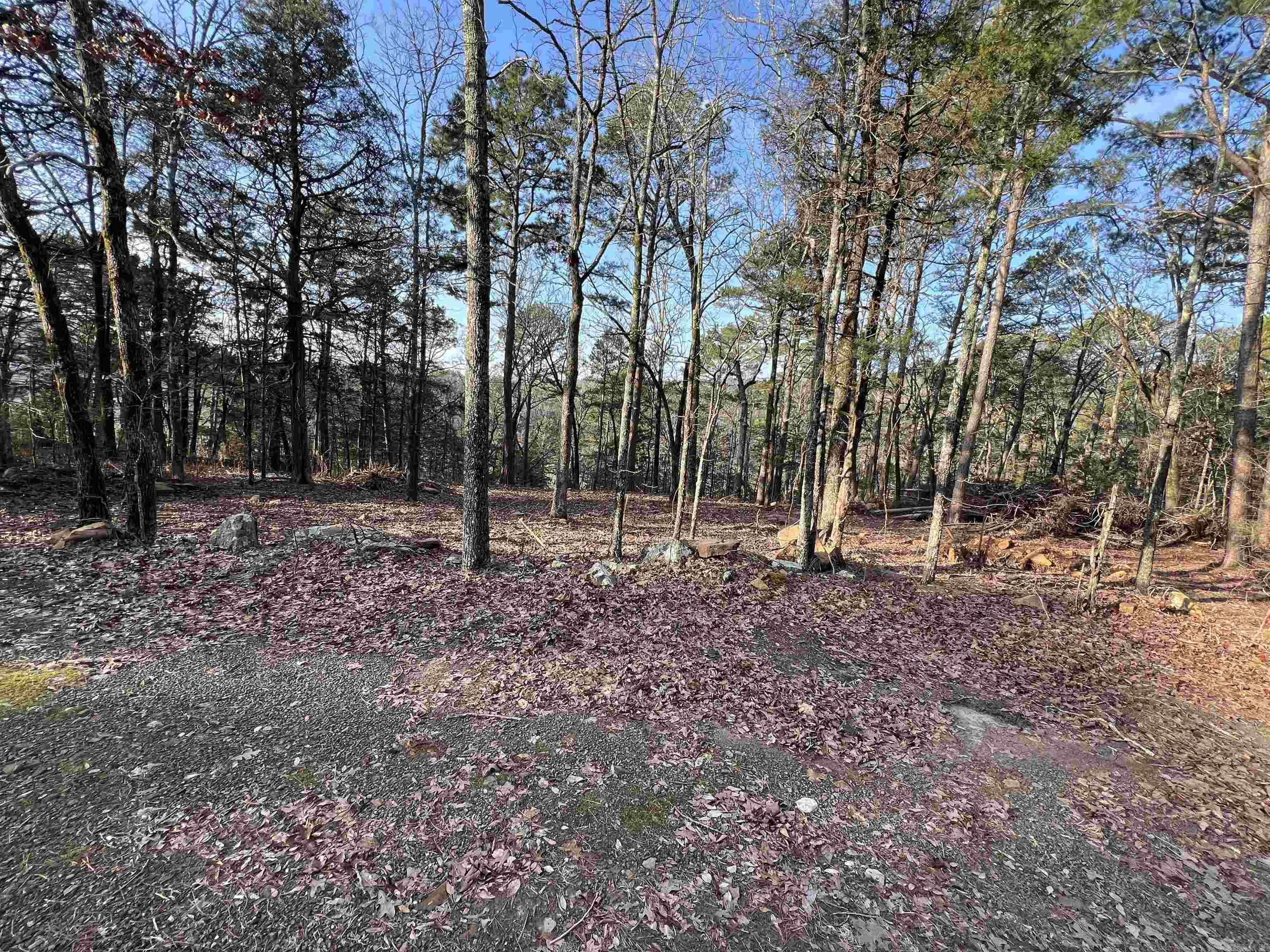 128 Lynn Creek Drive Property Photo 12