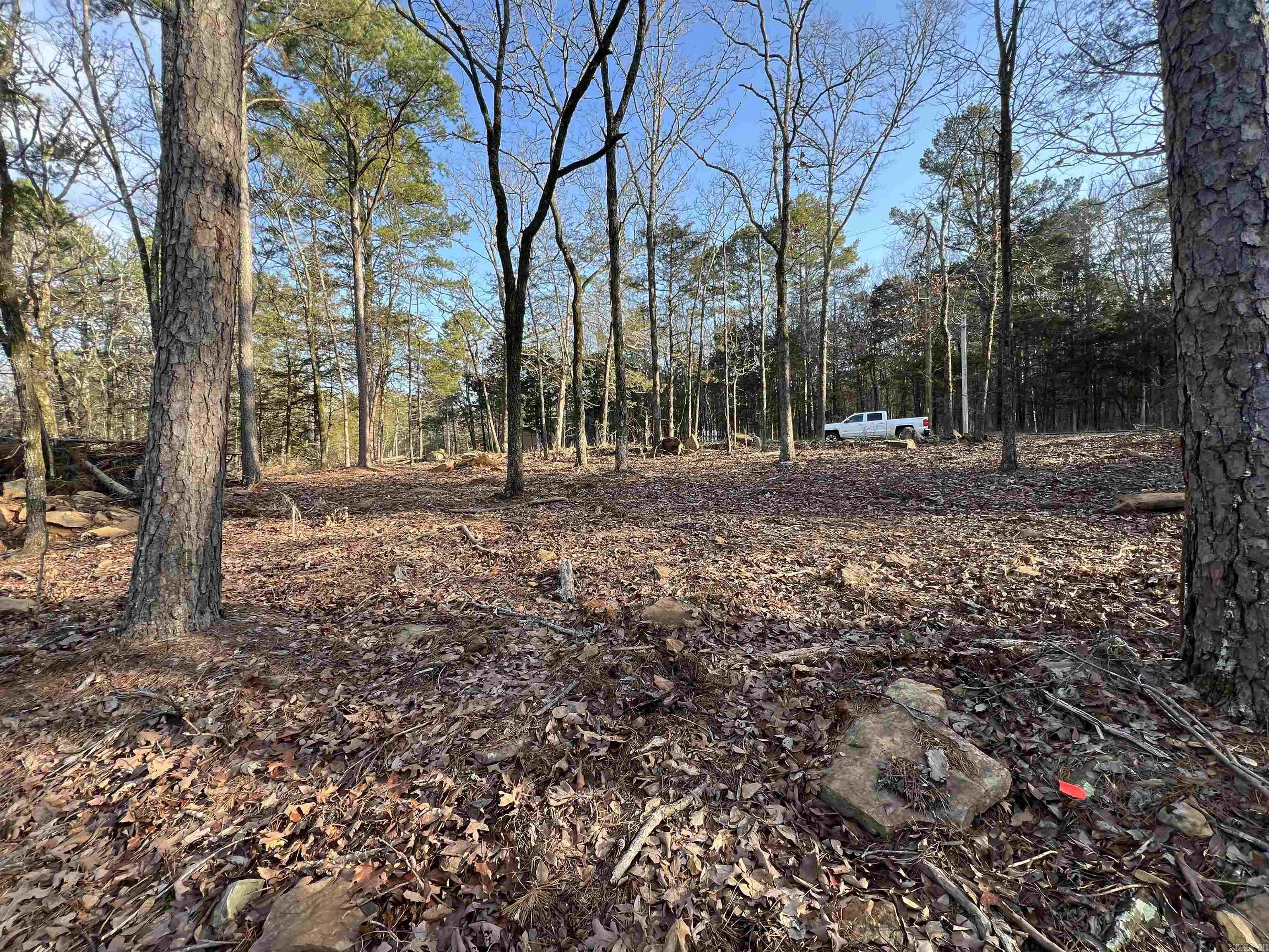 128 Lynn Creek Drive Property Photo 13