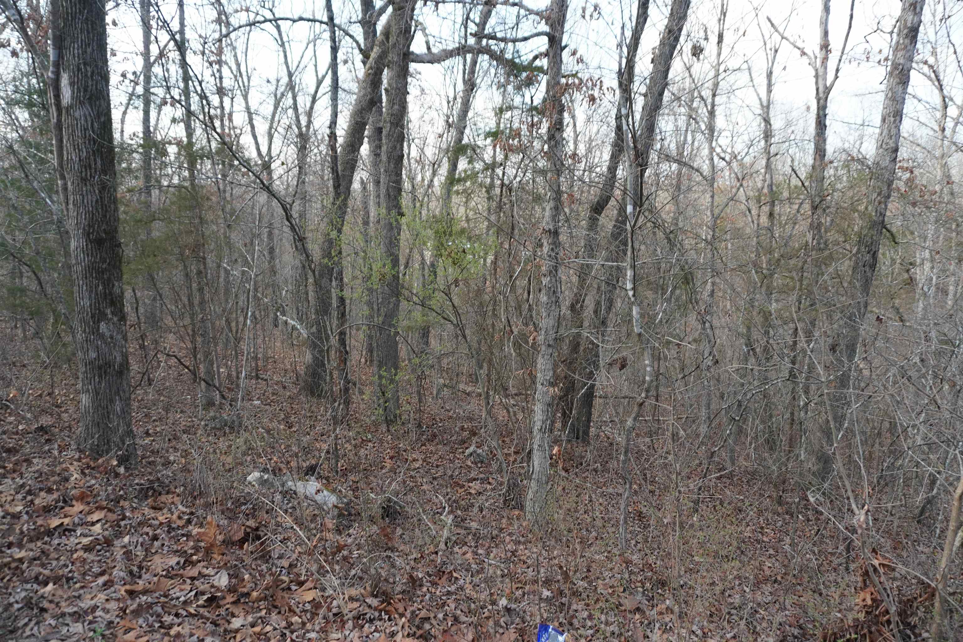 000 Algonquin Circle Property Photo 1