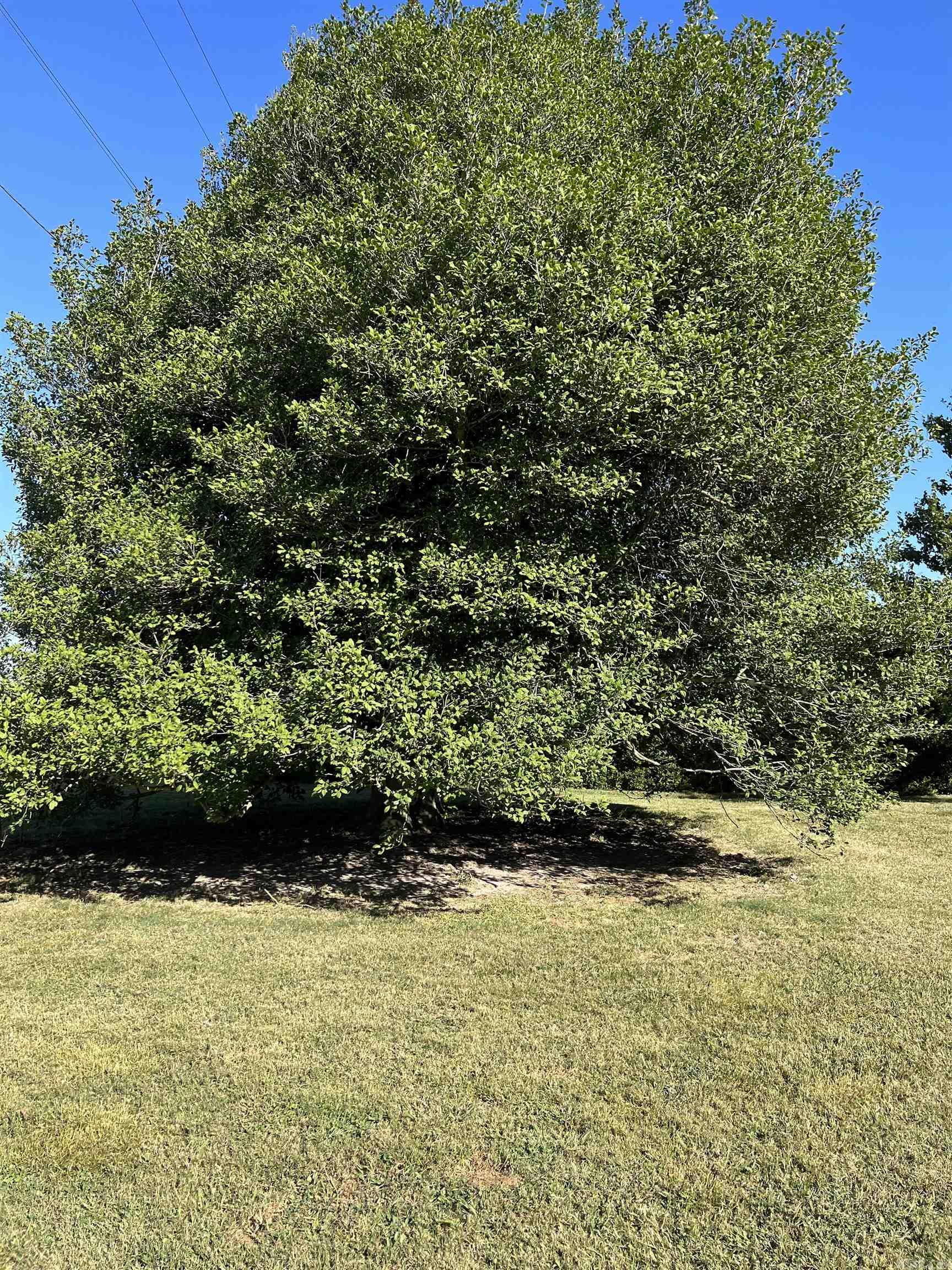 1577 E Main St Property Photo 34