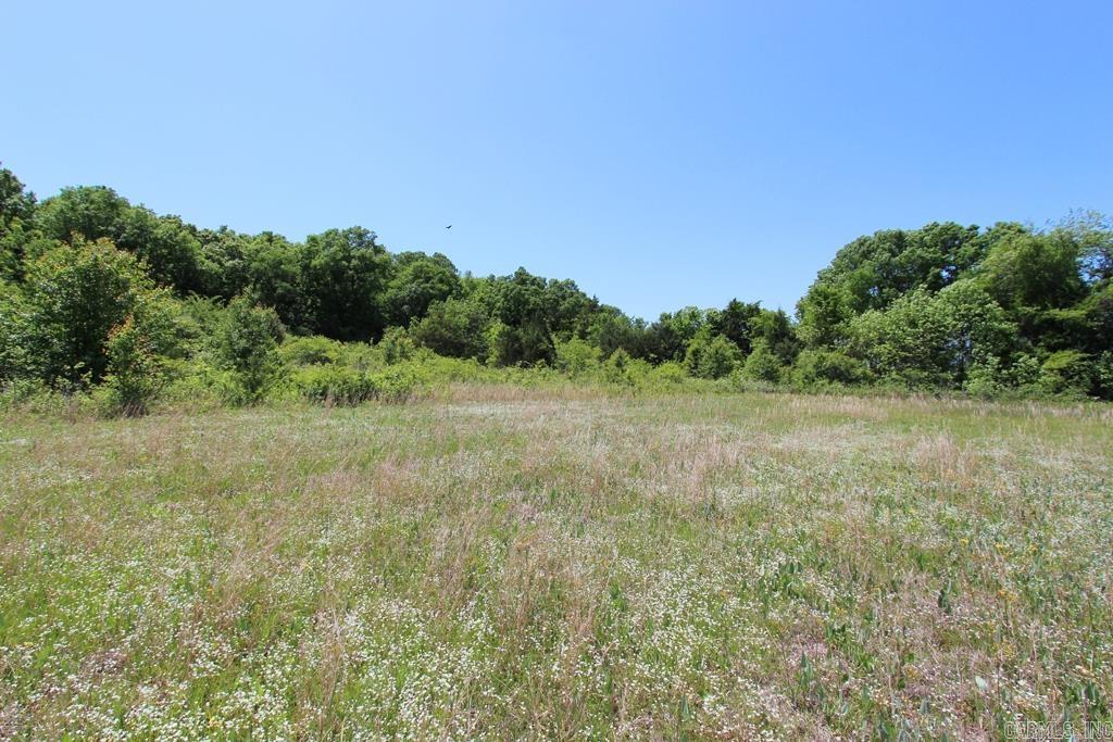 278-e Hwy 64 E Property Photo 6
