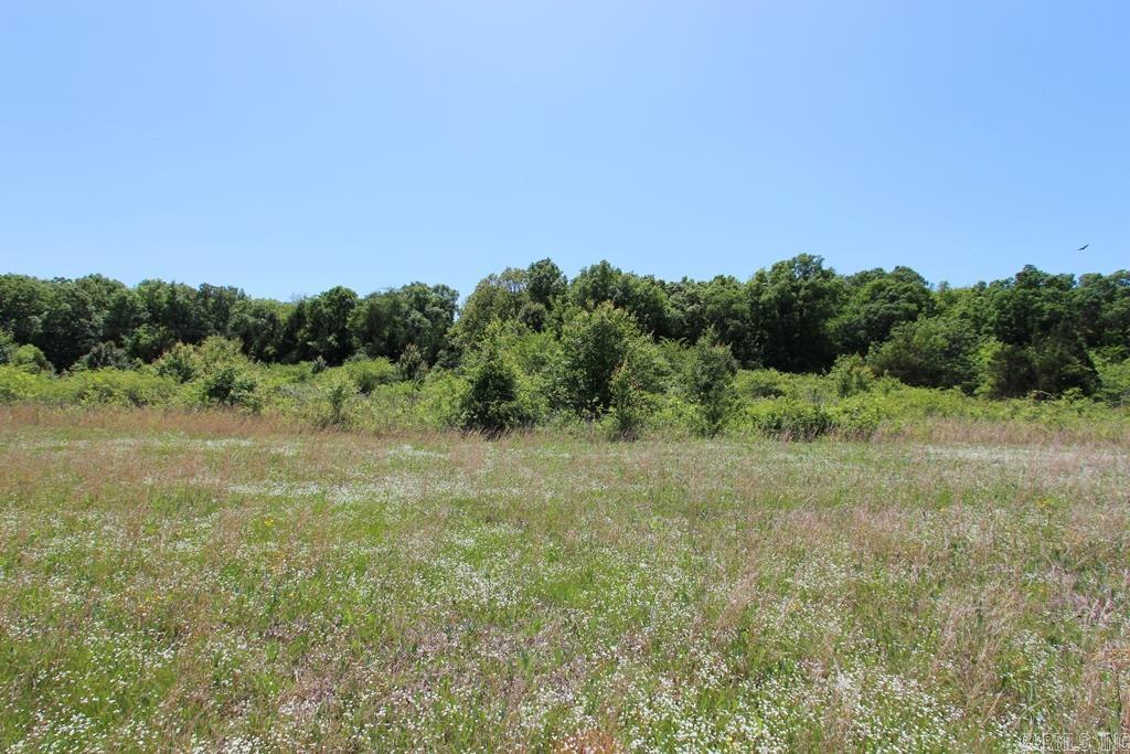 278-e Hwy 64 E Property Photo 7