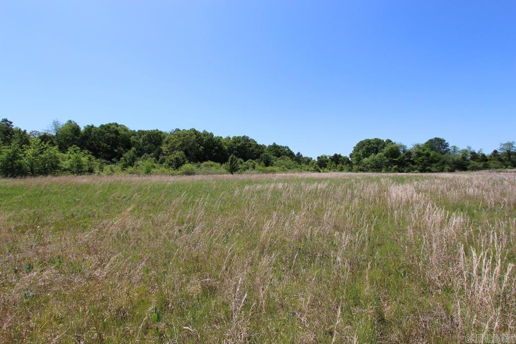 278-e Hwy 64 E Property Photo 13