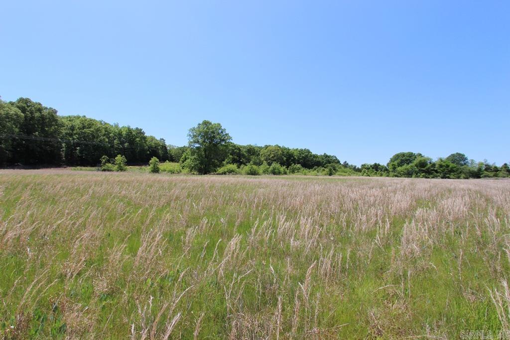 278-e Hwy 64 E Property Photo 19