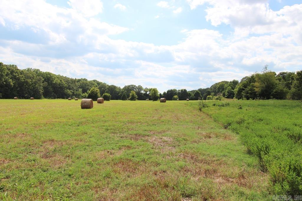 278-h Hwy 64 E Property Photo 5