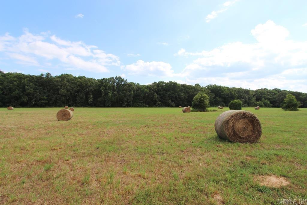 278-h Hwy 64 E Property Photo 8