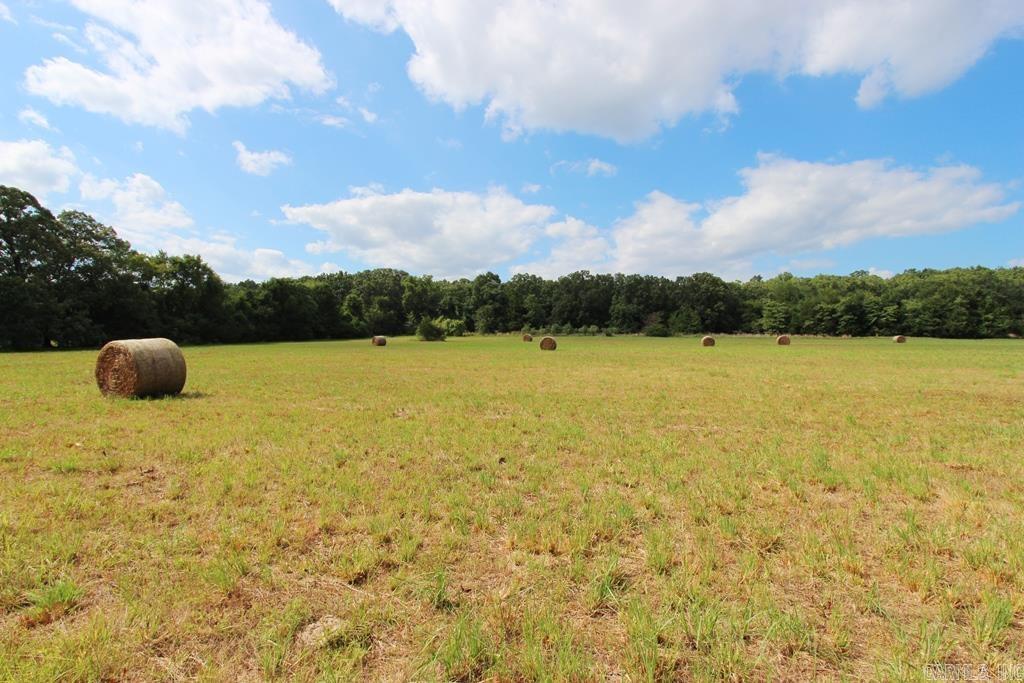 278-h Hwy 64 E Property Photo 15