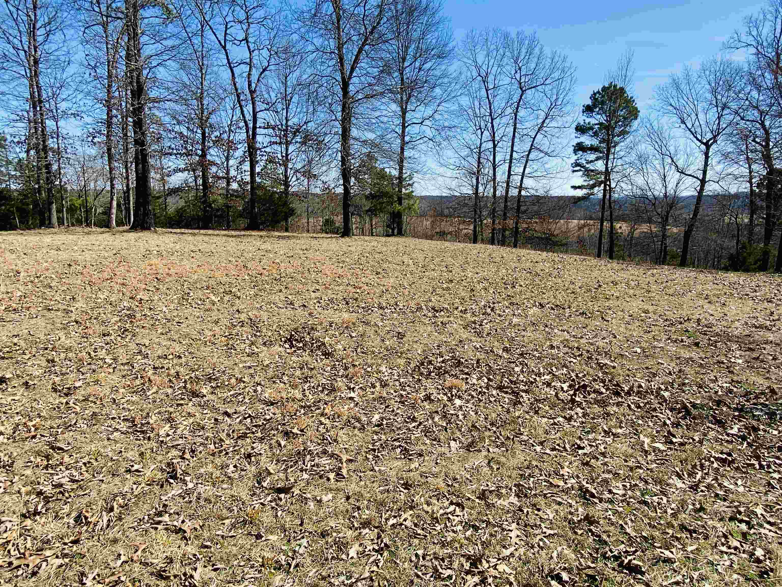 Lots 6,7,8 River Bend Ridge Property Photo 2