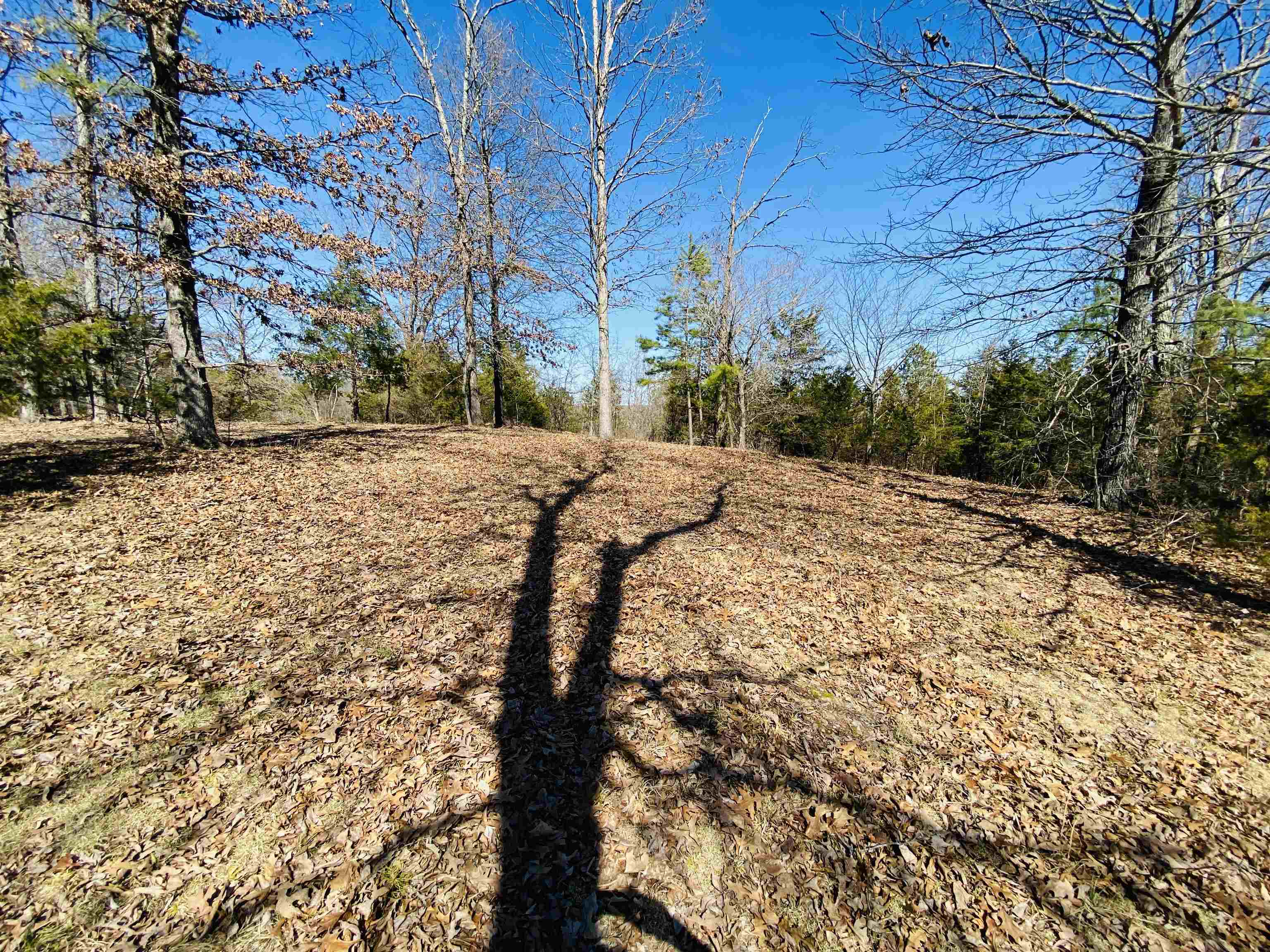 Lots 6,7,8 River Bend Ridge Property Photo 3