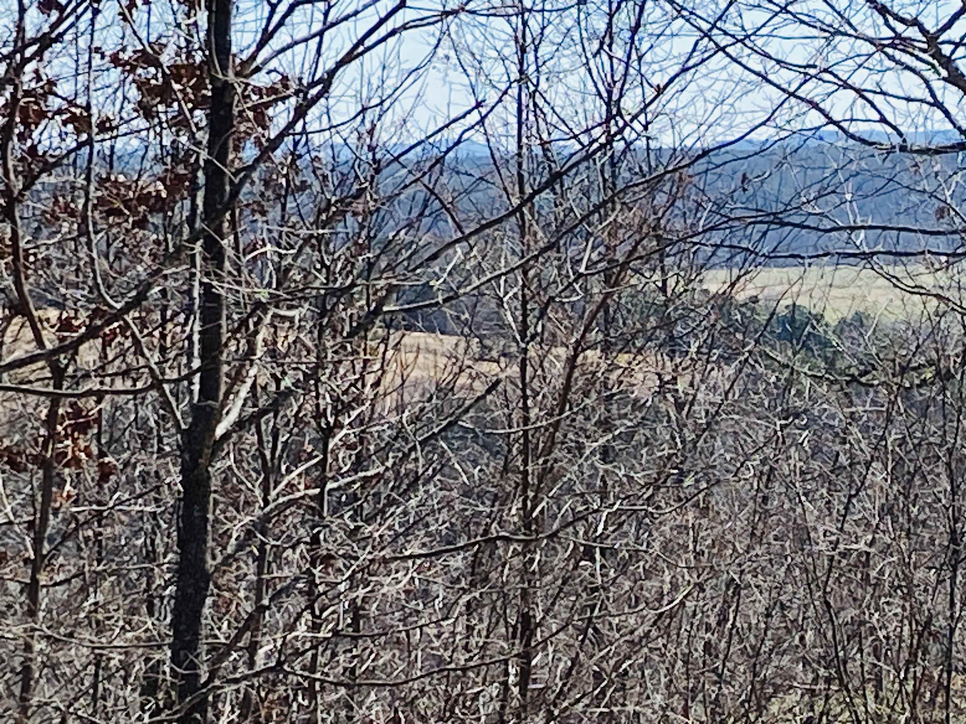 Lots 6,7,8 River Bend Ridge Property Photo 5
