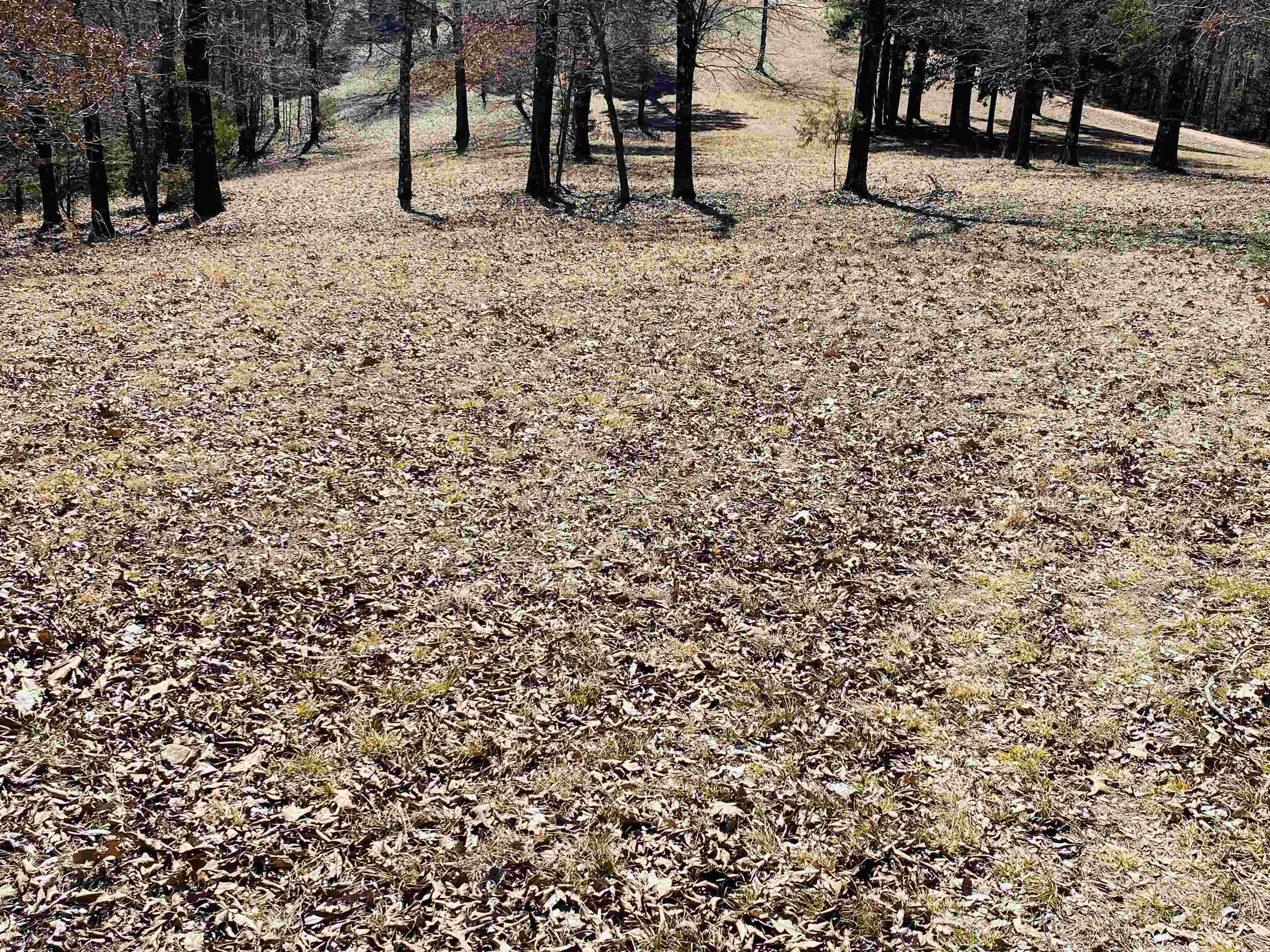 Lots 6,7,8 River Bend Ridge Property Photo 7