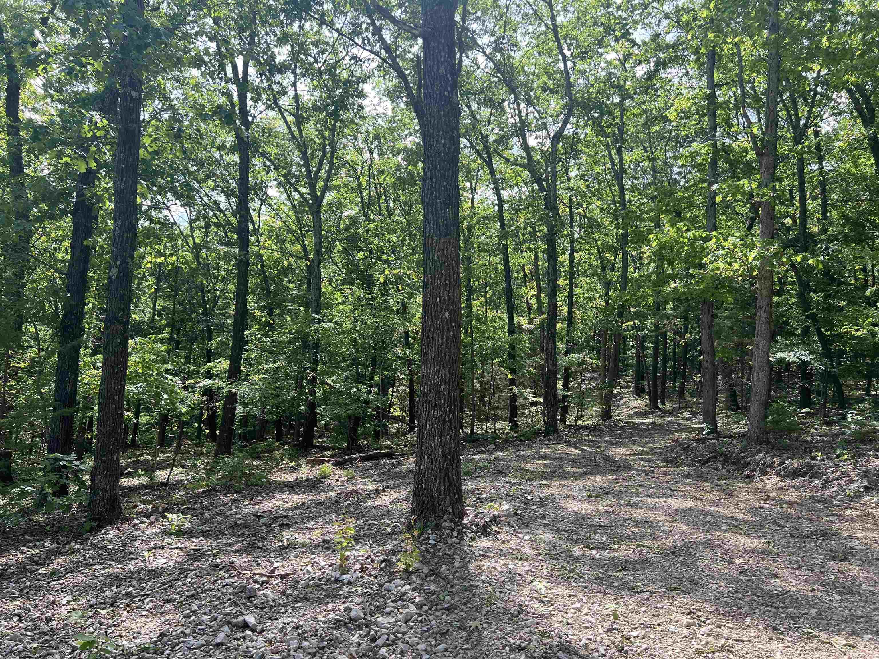 Cr 2909 Property Photo 2