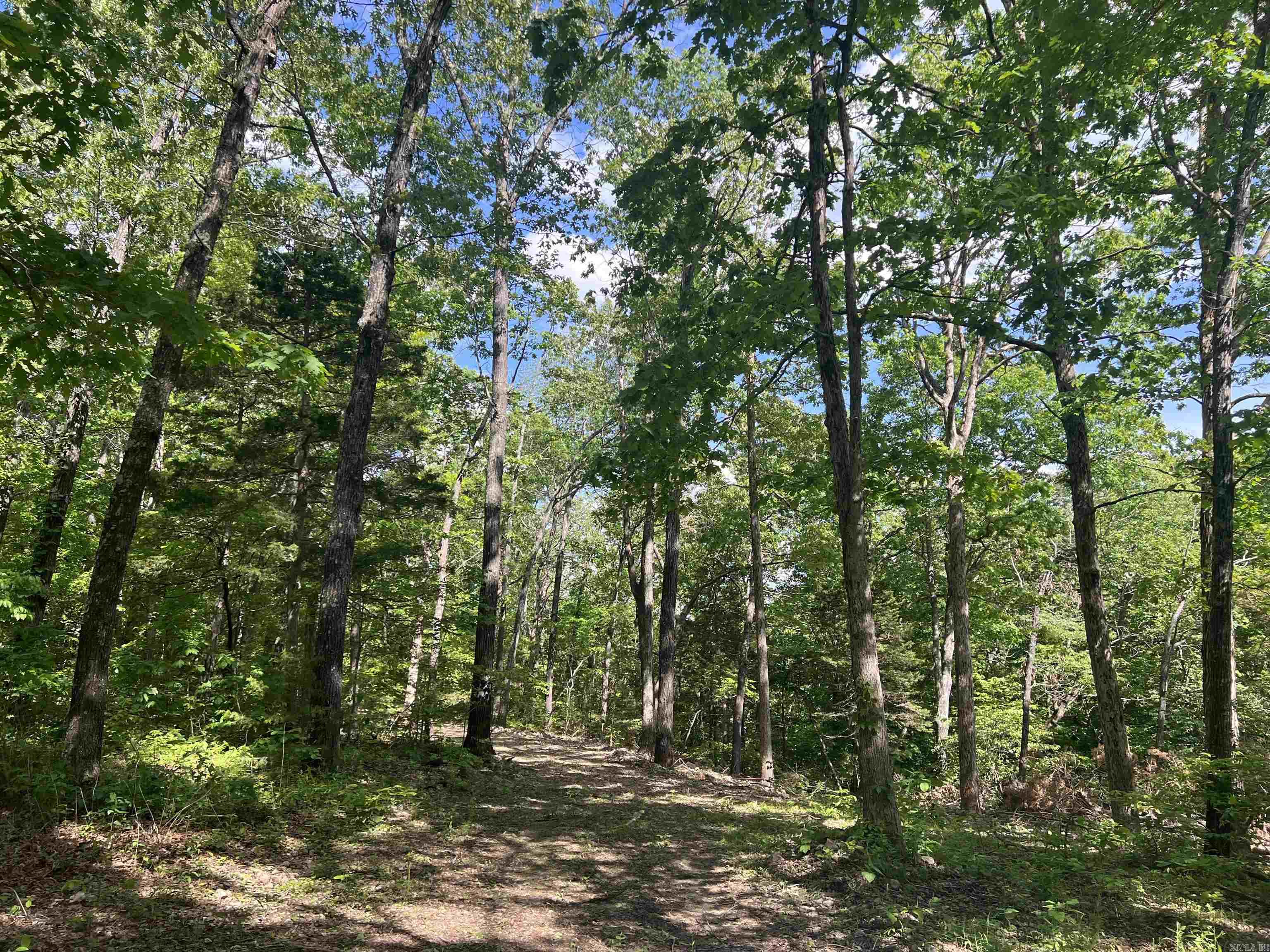 Cr 2909 Property Photo 4