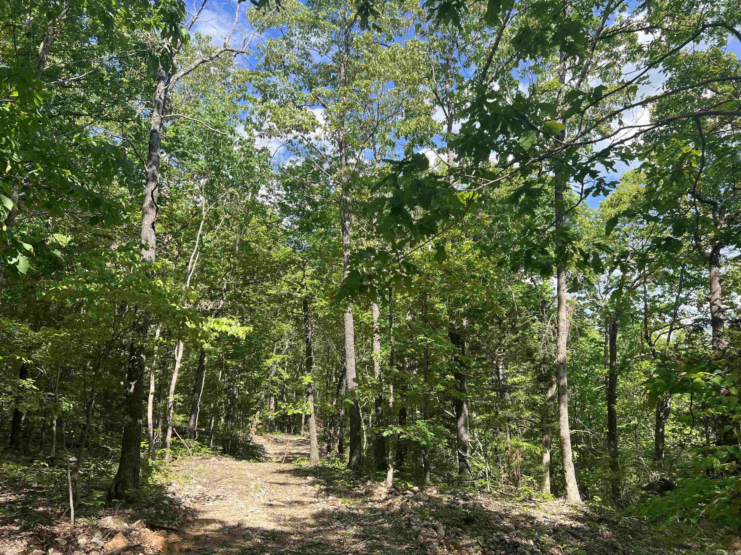 Cr 2909 Property Photo 5