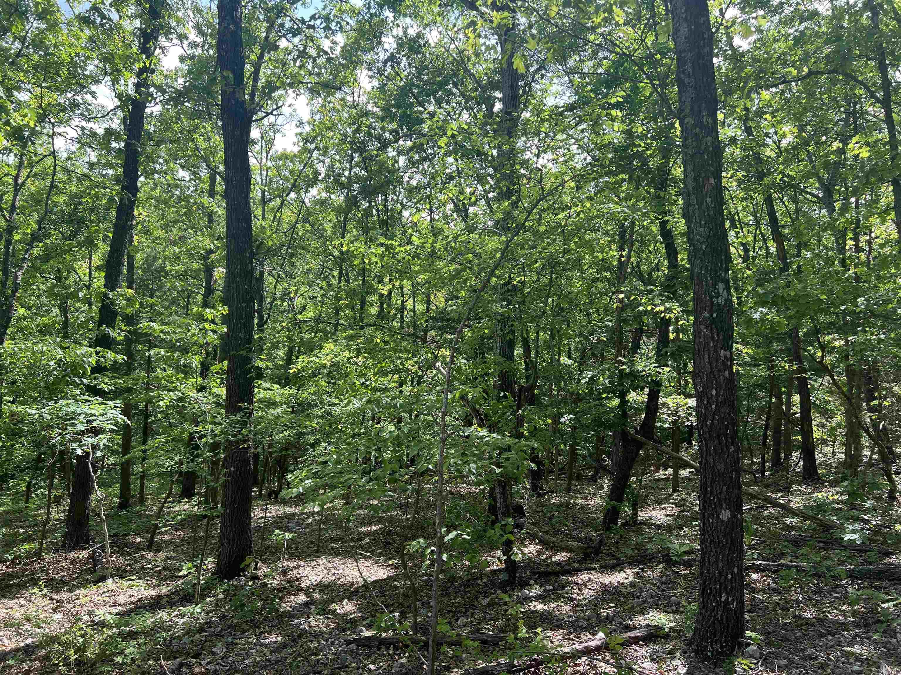 Cr 2909 Property Photo 6