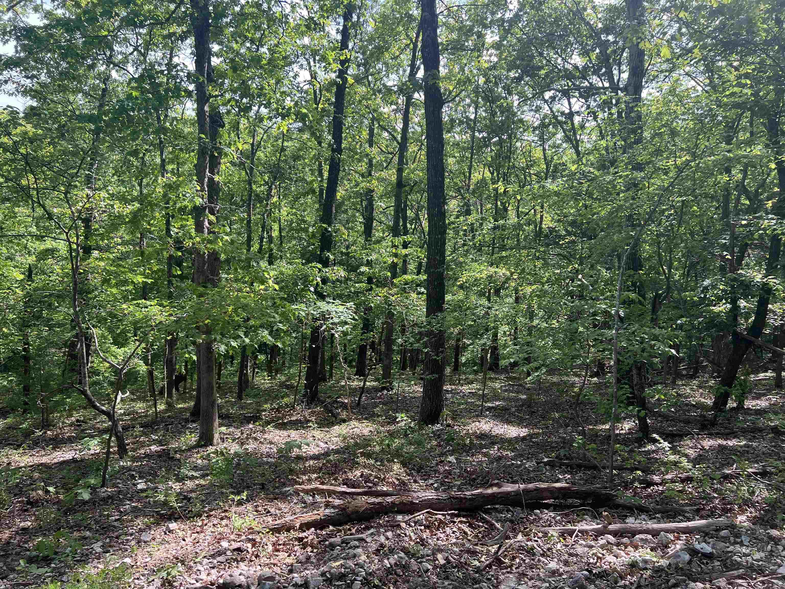 Cr 2909 Property Photo 10